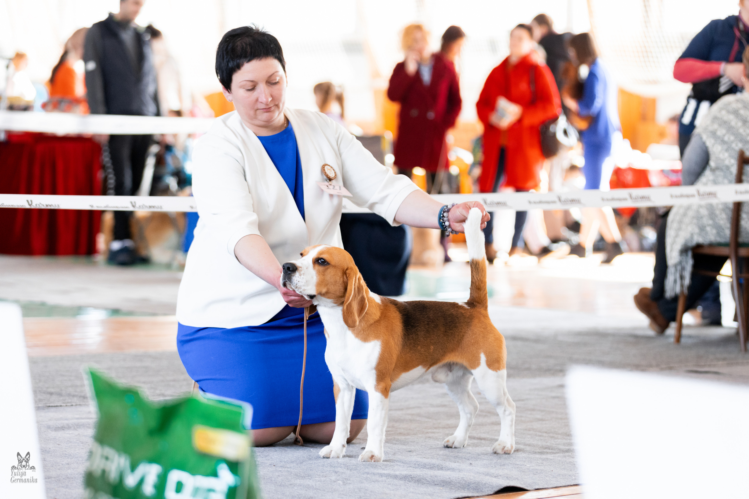 Тверь 19.03.2023. Фотограф-анималист Юлия Германика