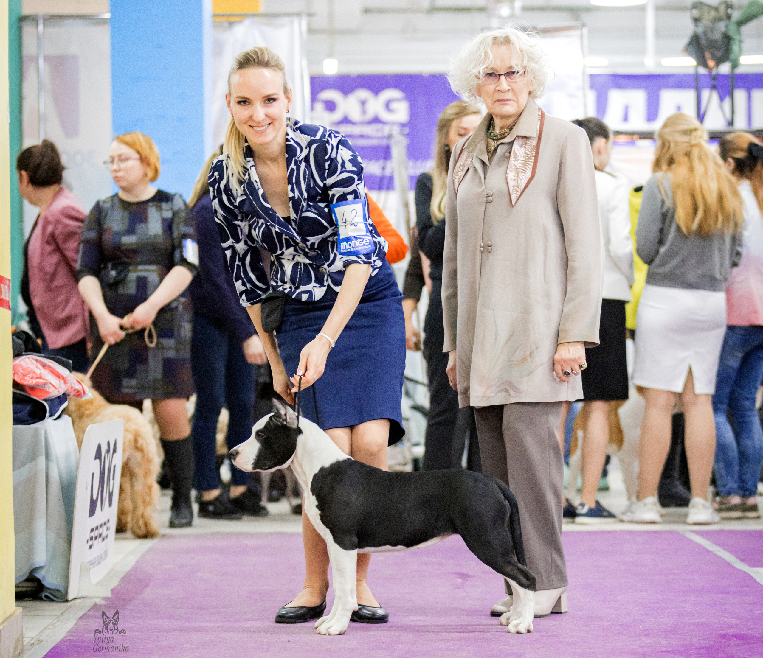 Чайна-Таун 15,21 и 22.01.2023. Фотограф-анималист Юлия Германика