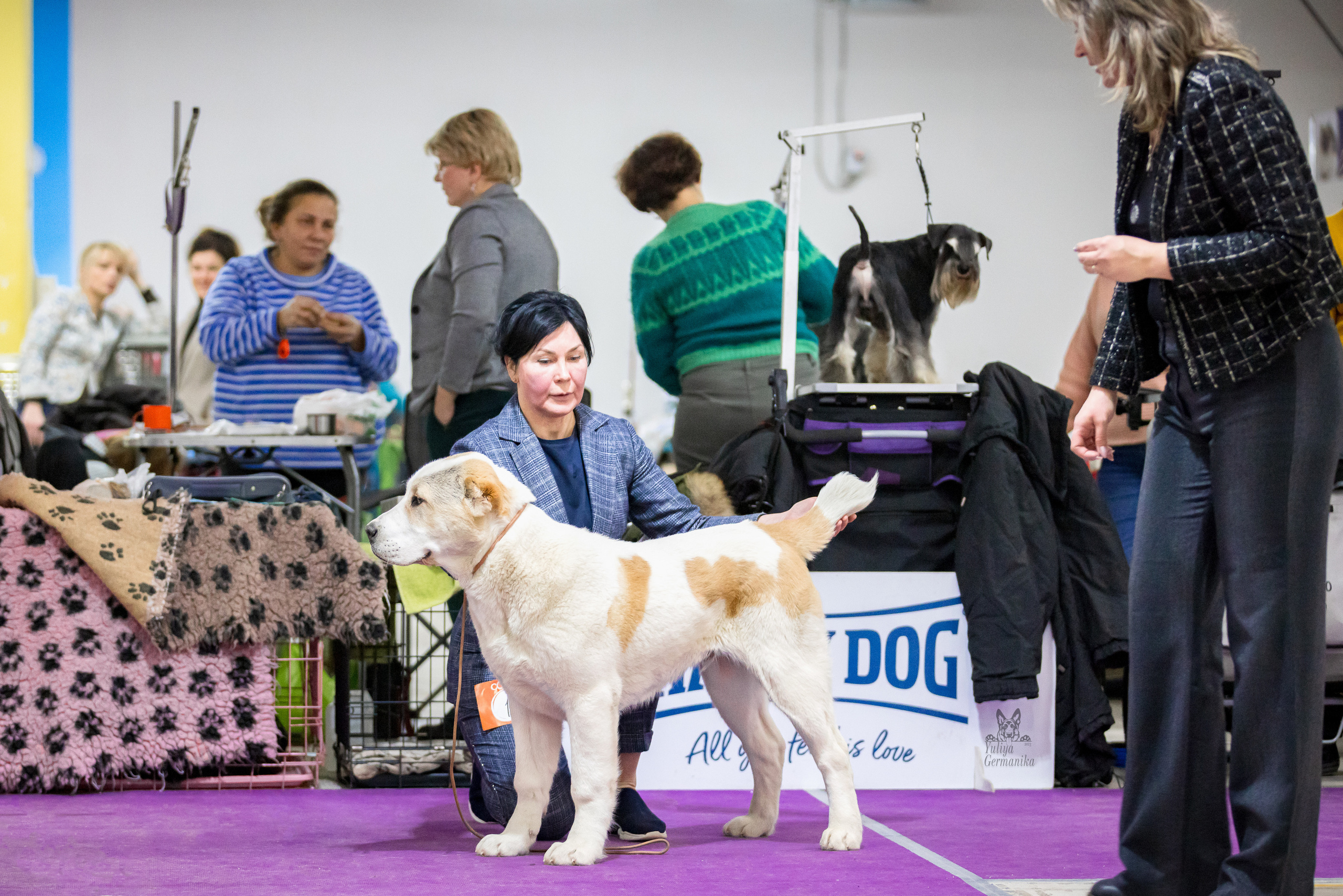 Чайна-Таун 5-8.01.2023. Фотограф-анималист Юлия Германика