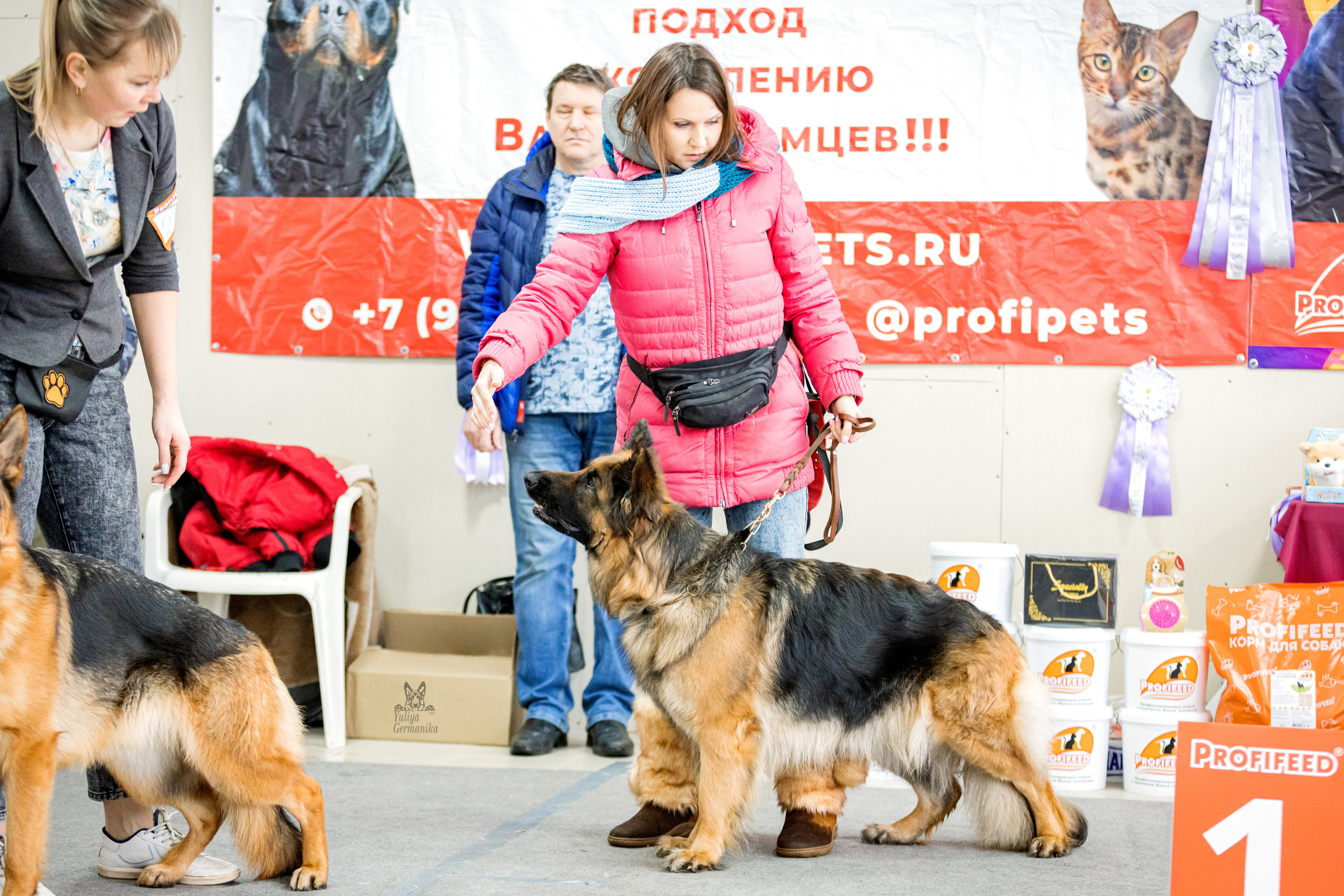 Тверь 19.02.2023. Фотограф-анималист Юлия Германика