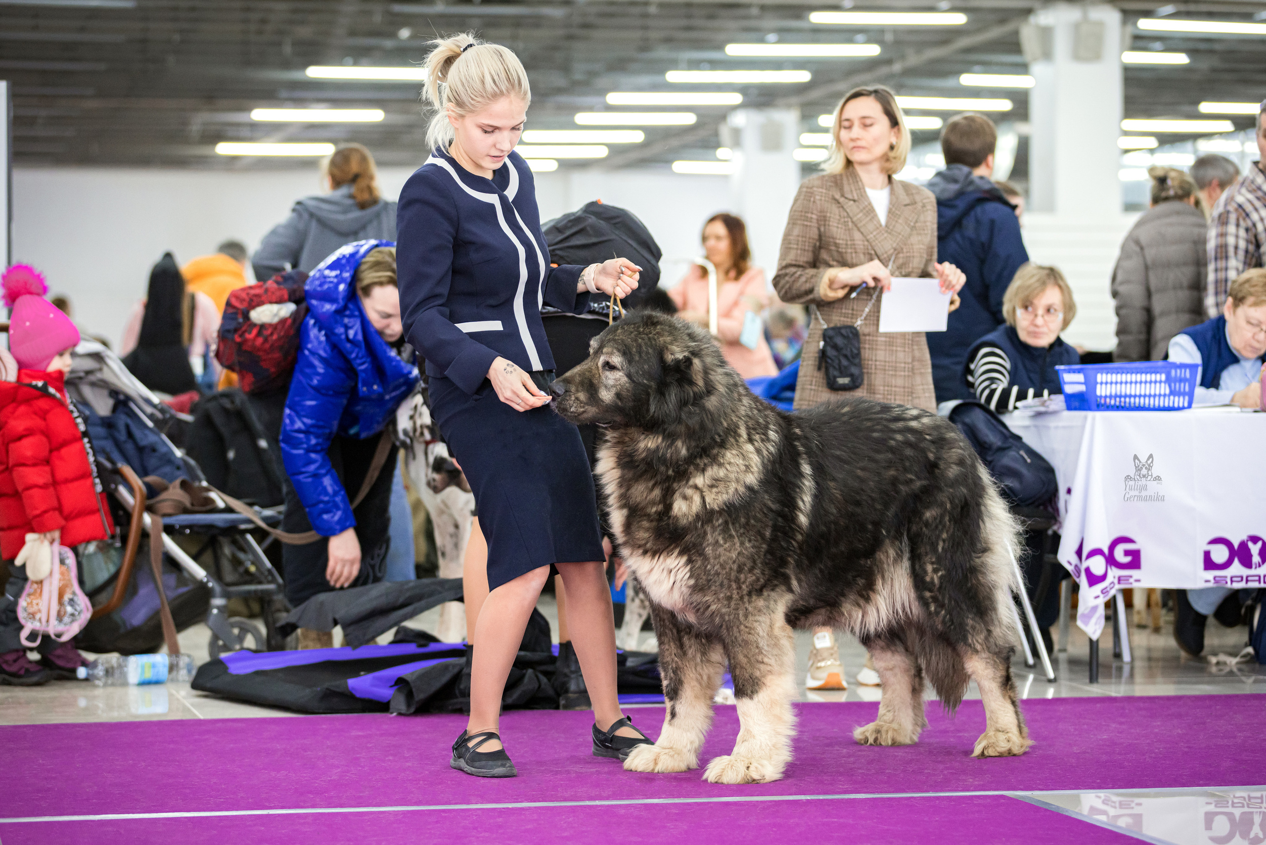 Можайский двор 11-12.02.2023. Фотограф-анималист Юлия Германика
