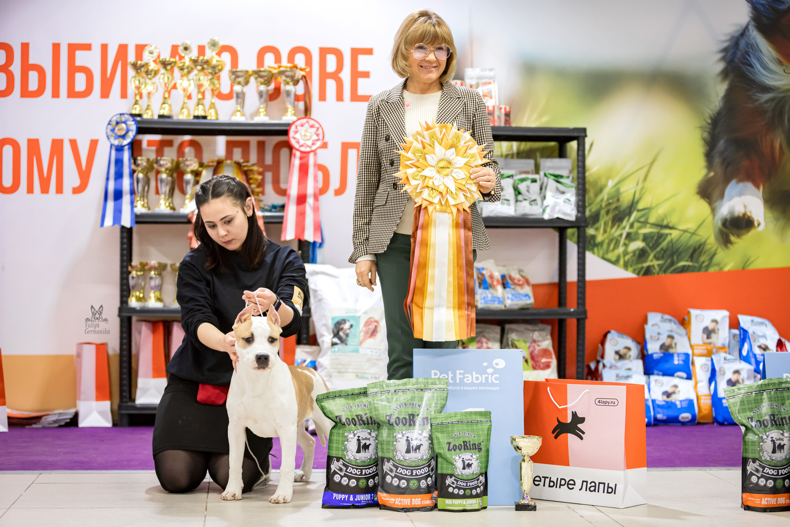 Чайна-Таун 15,21 и 22.01.2023. Фотограф-анималист Юлия Германика