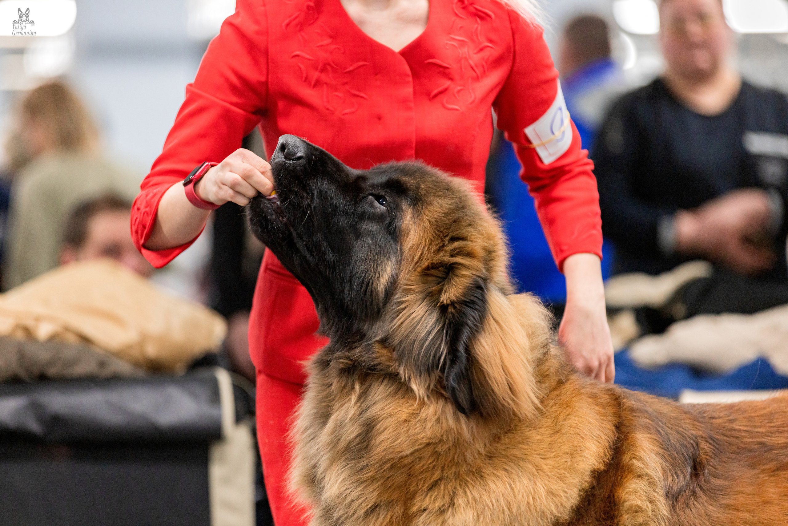 Сфера 5.03.2023. Фотограф-анималист Юлия Германика