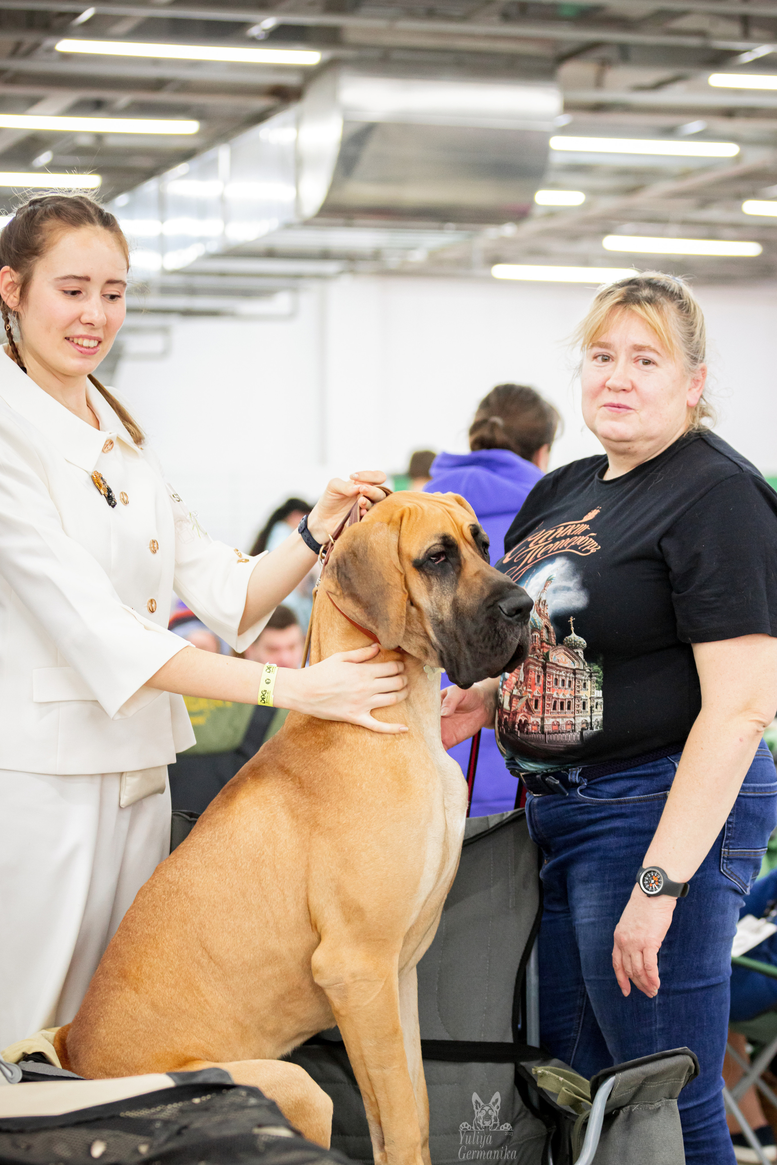 Можайский двор 11-12.02.2023. Фотограф-анималист Юлия Германика