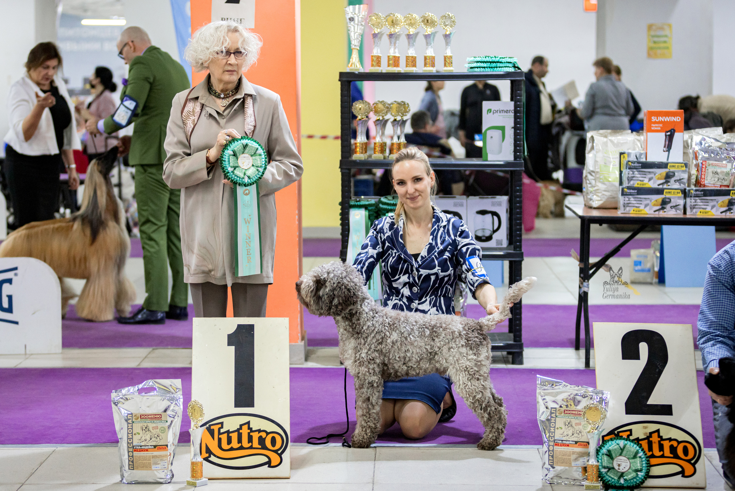 Чайна-Таун 15,21 и 22.01.2023. Фотограф-анималист Юлия Германика