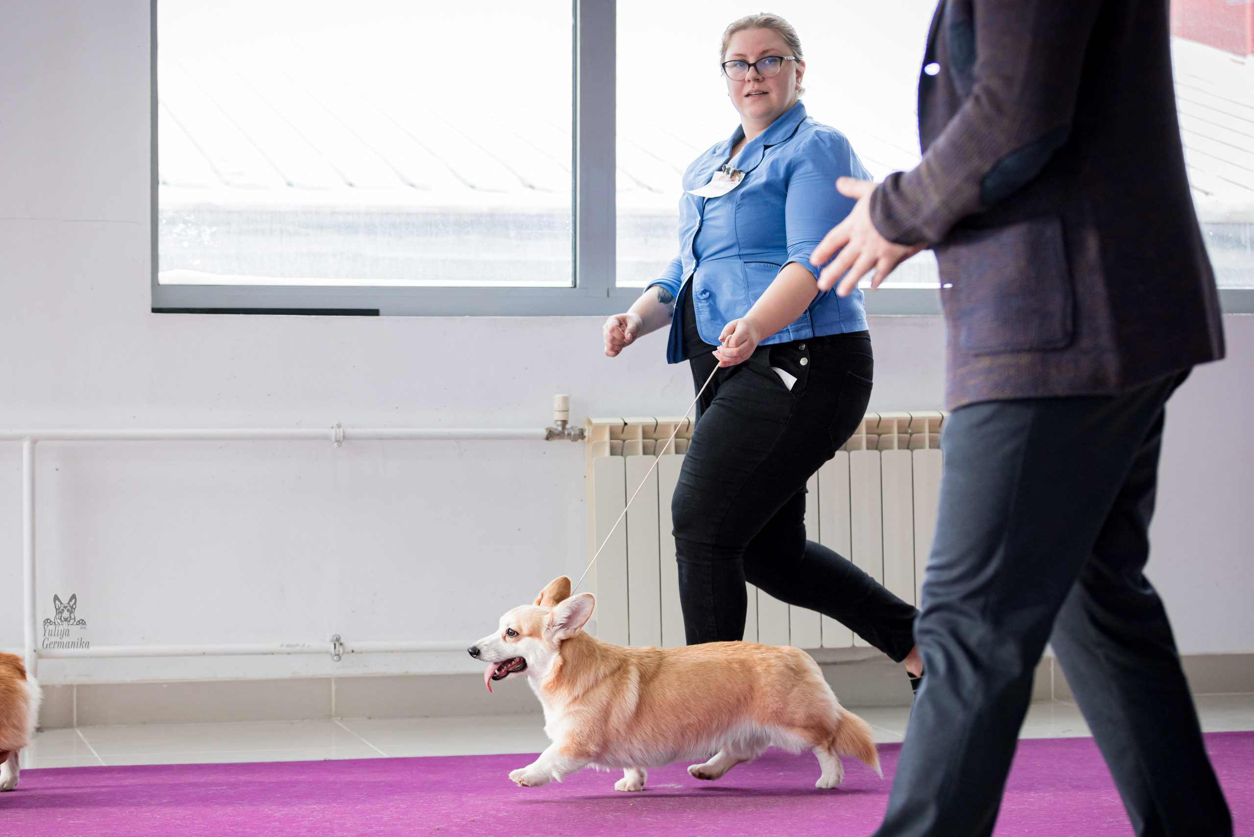 Можайский двор 11-12.02.2023. Фотограф-анималист Юлия Германика