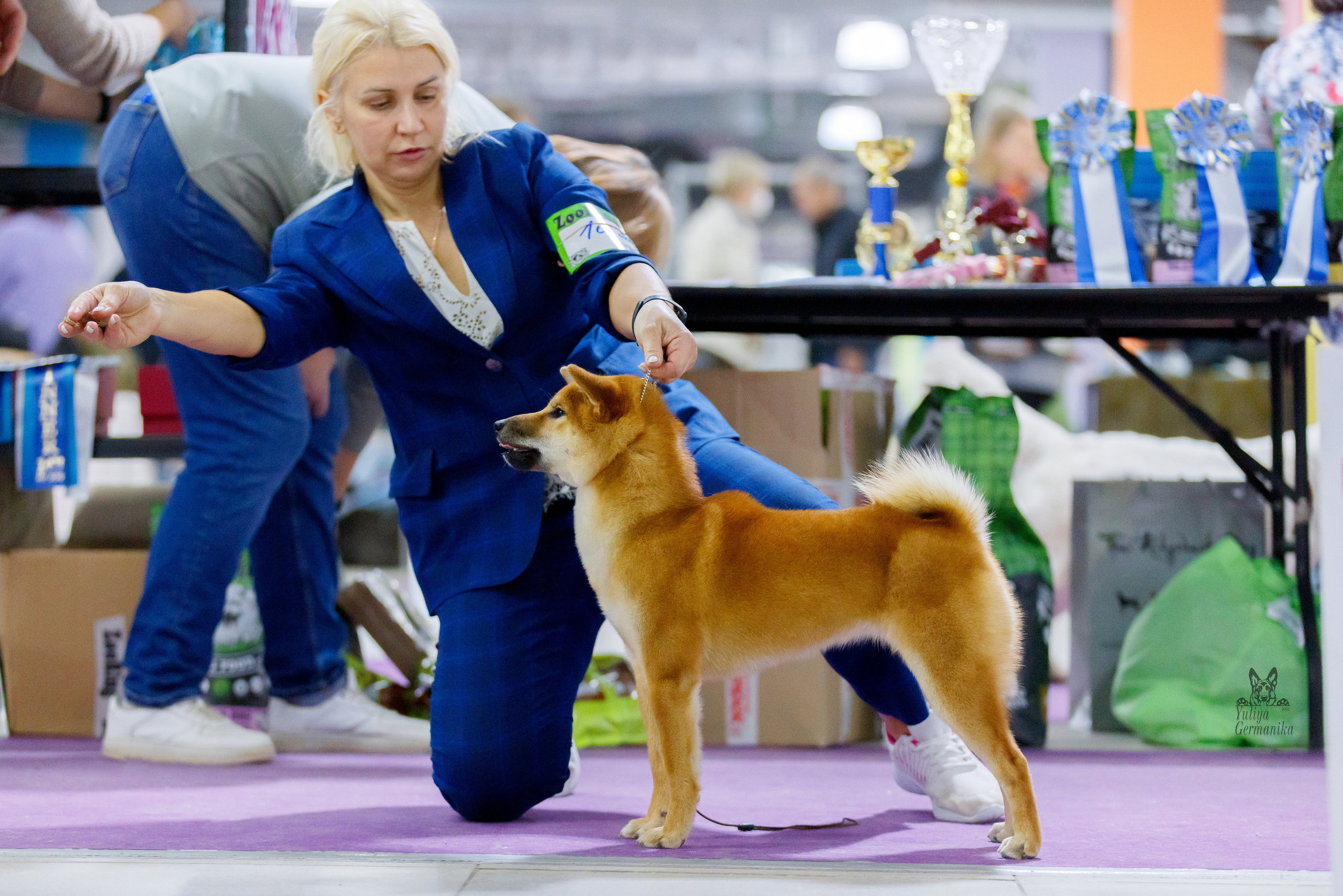 Чайна-Таун 3 и 10.12.2022. Фотограф-анималист Юлия Германика