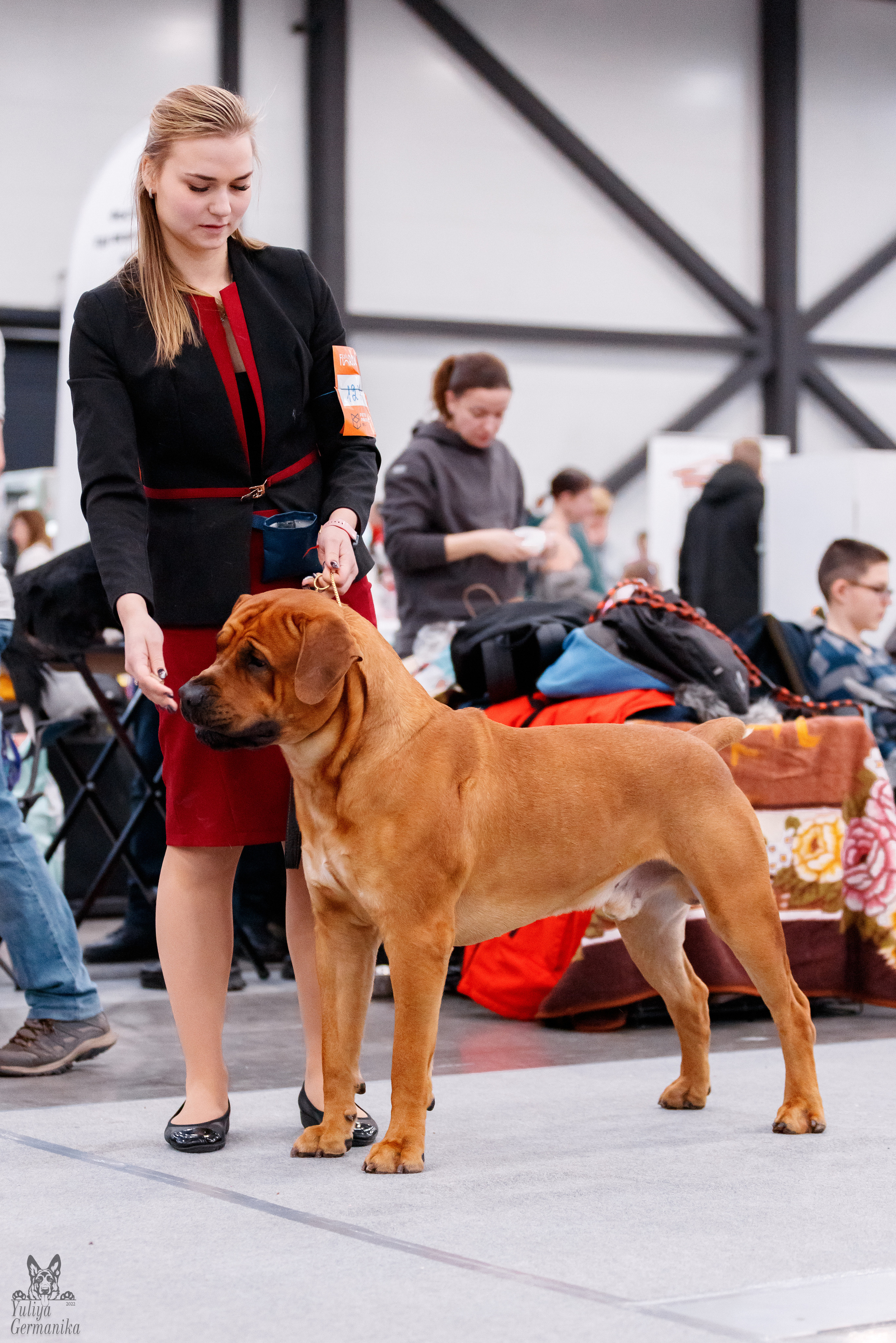 Питер 17-18.12.2022. Фотограф-анималист Юлия Германика