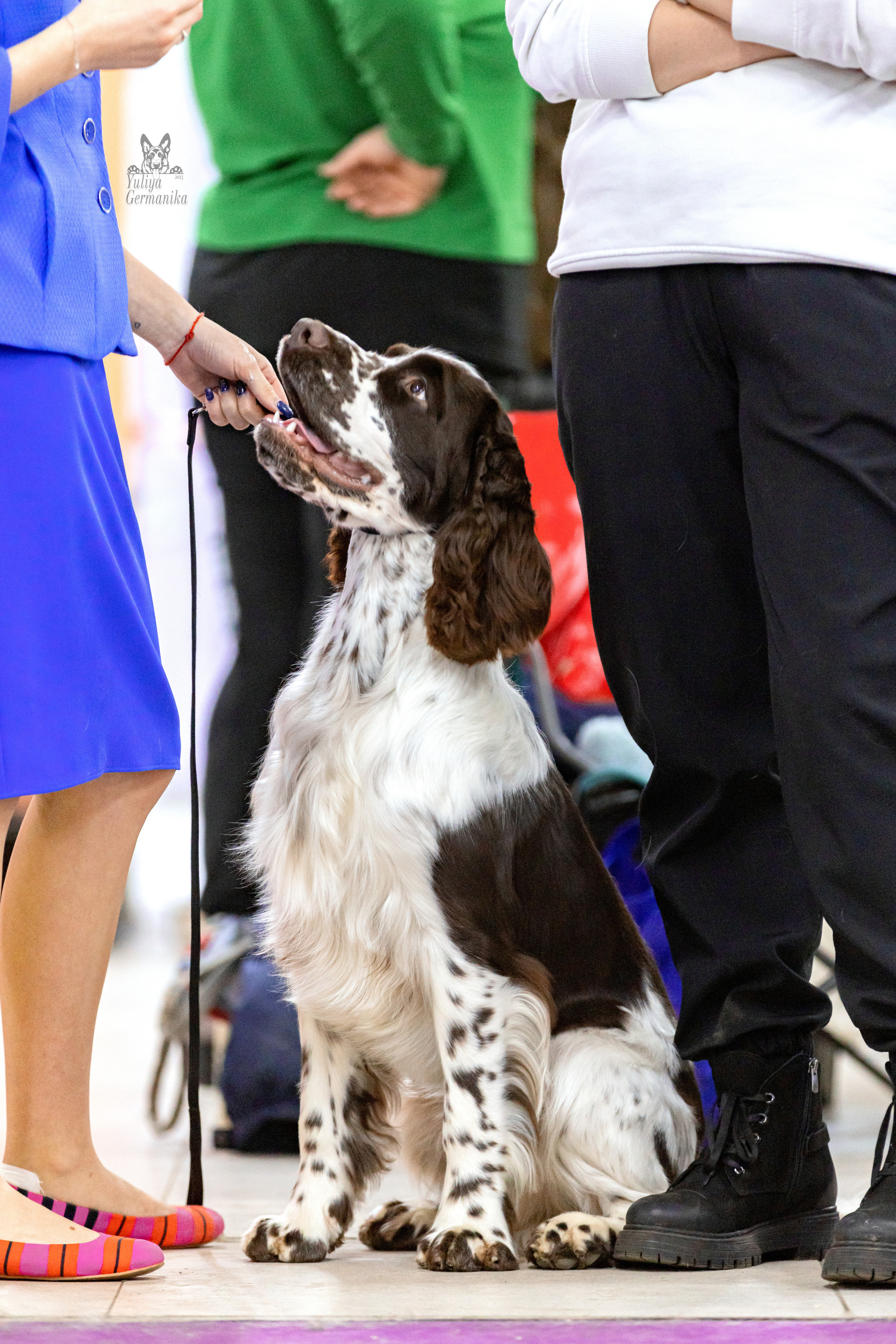 Чайна-Таун 15,21 и 22.01.2023. Фотограф-анималист Юлия Германика