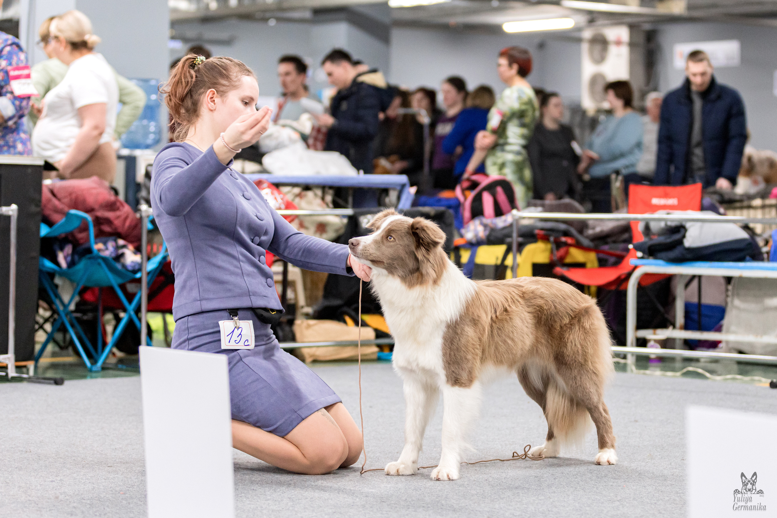Сфера 5.03.2023. Фотограф-анималист Юлия Германика