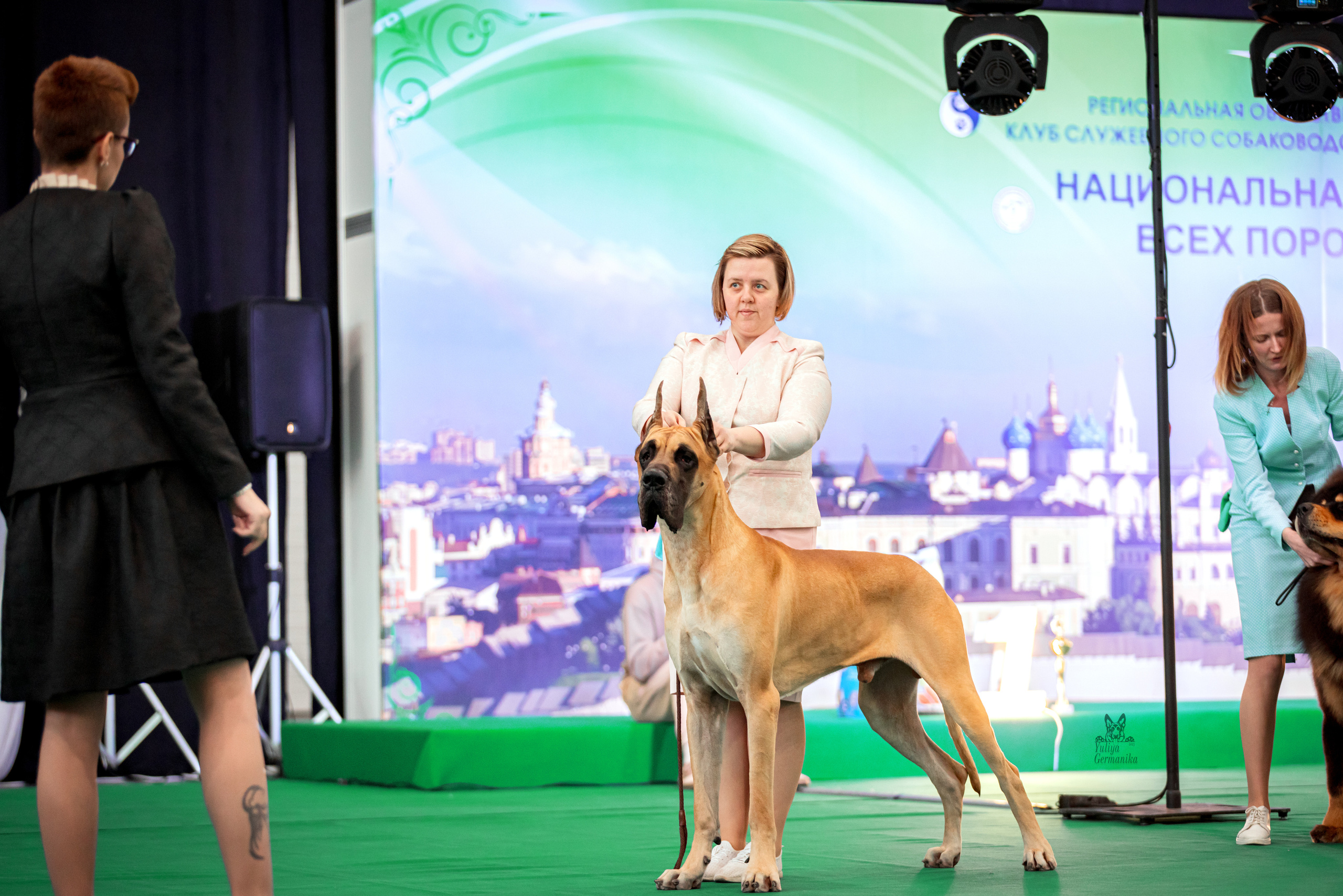 Казань 11.03.2023. Фотограф-анималист Юлия Германика