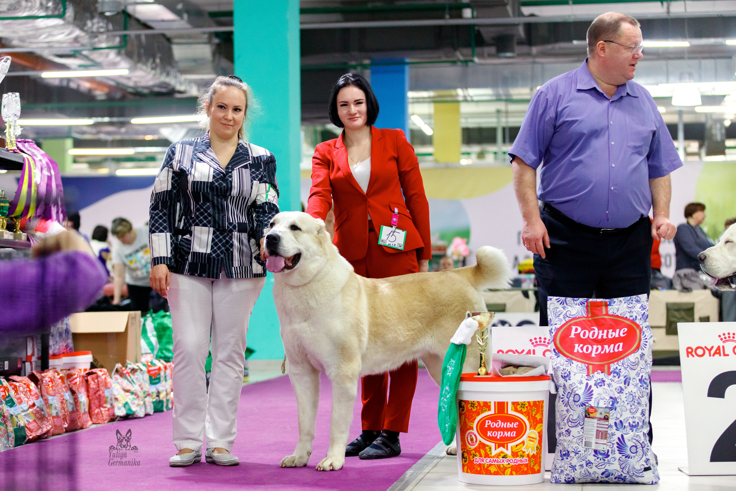 Чайна-Таун 3 и 10.12.2022. Фотограф-анималист Юлия Германика