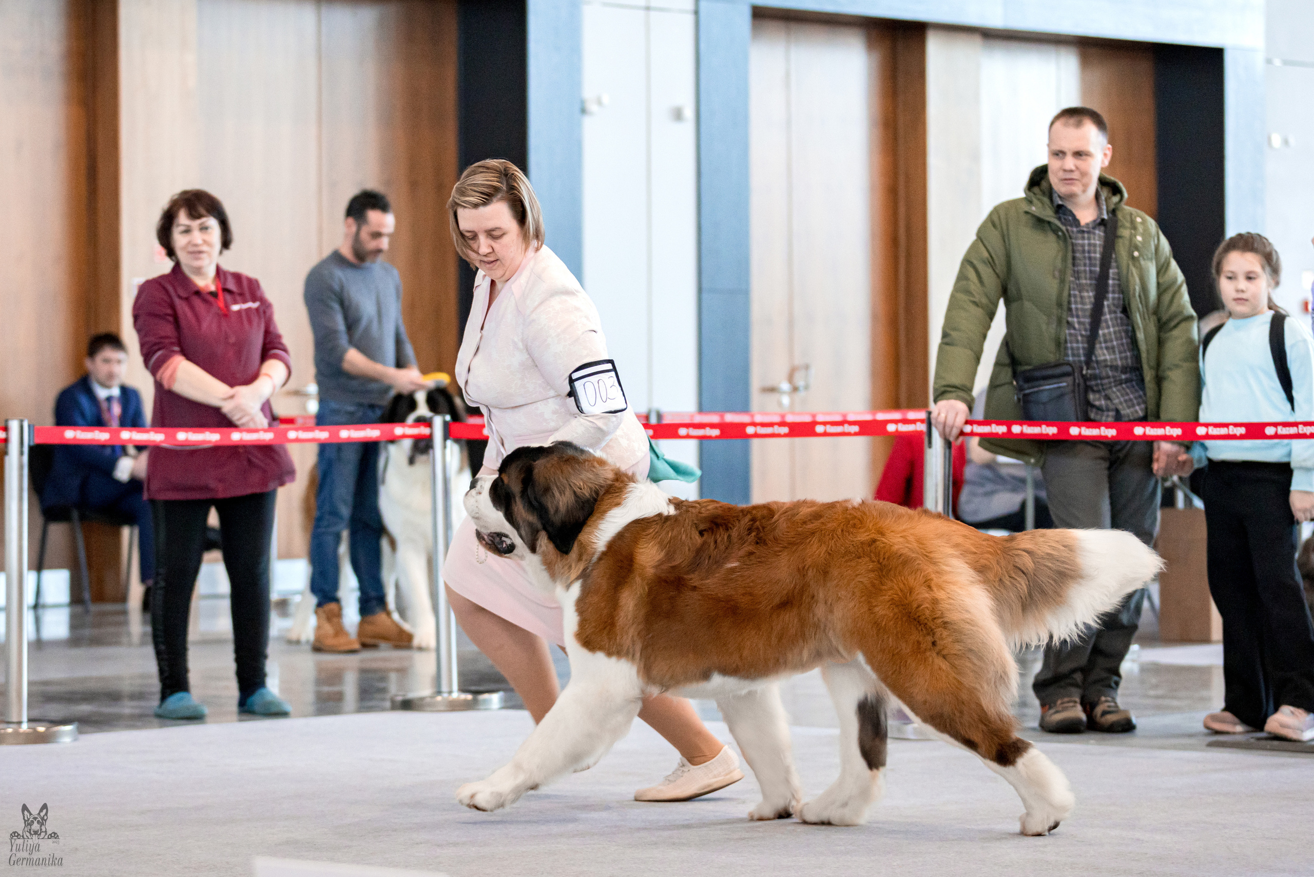 Казань 11.03.2023. Фотограф-анималист Юлия Германика