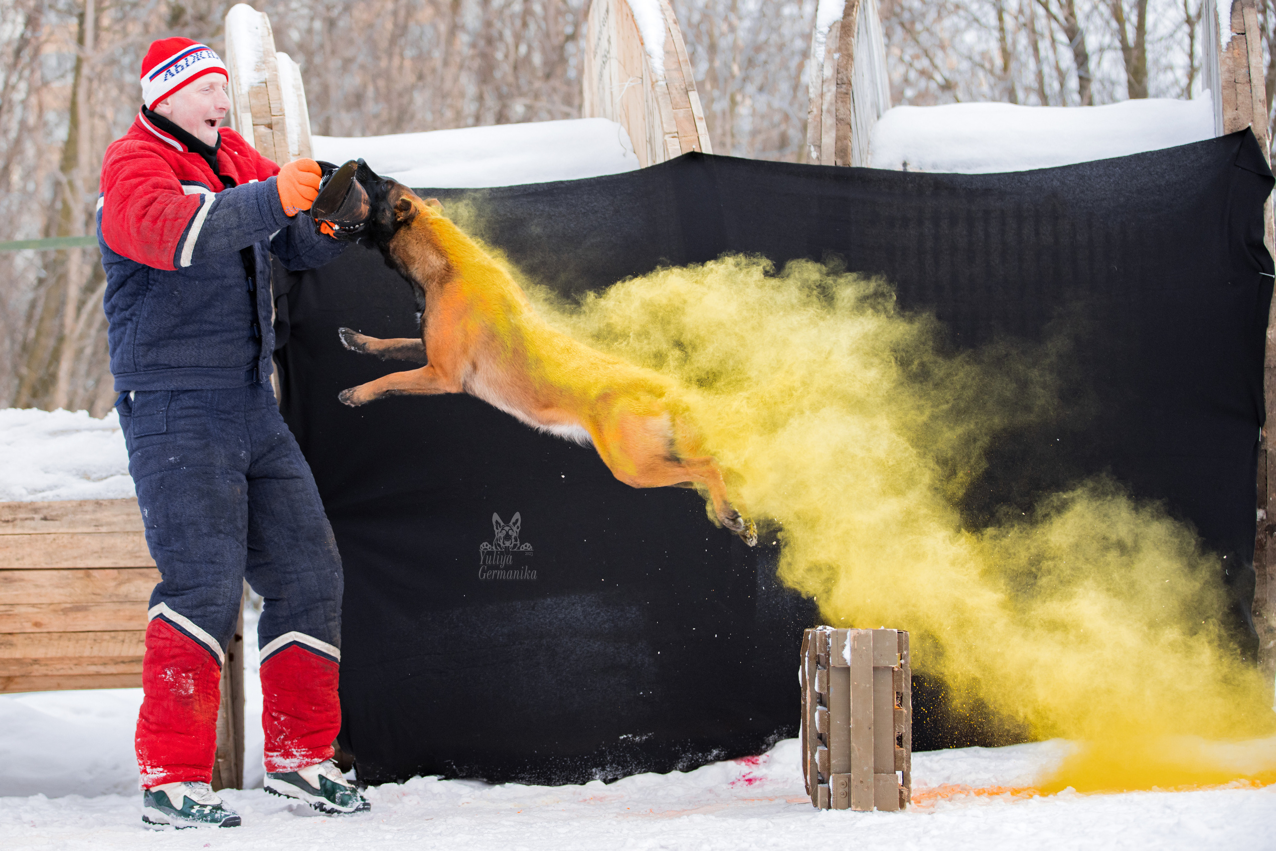 Краски Холли. Фотограф-анималист Юлия Германика