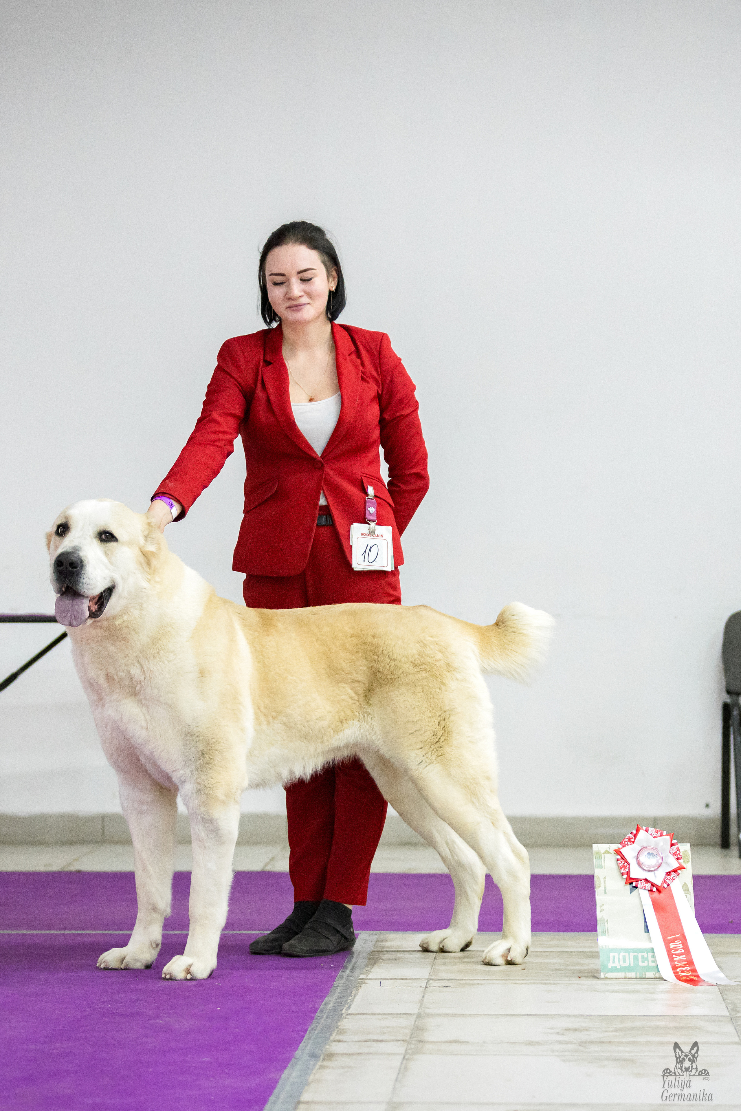 Чайна-Таун 5-8.01.2023. Фотограф-анималист Юлия Германика