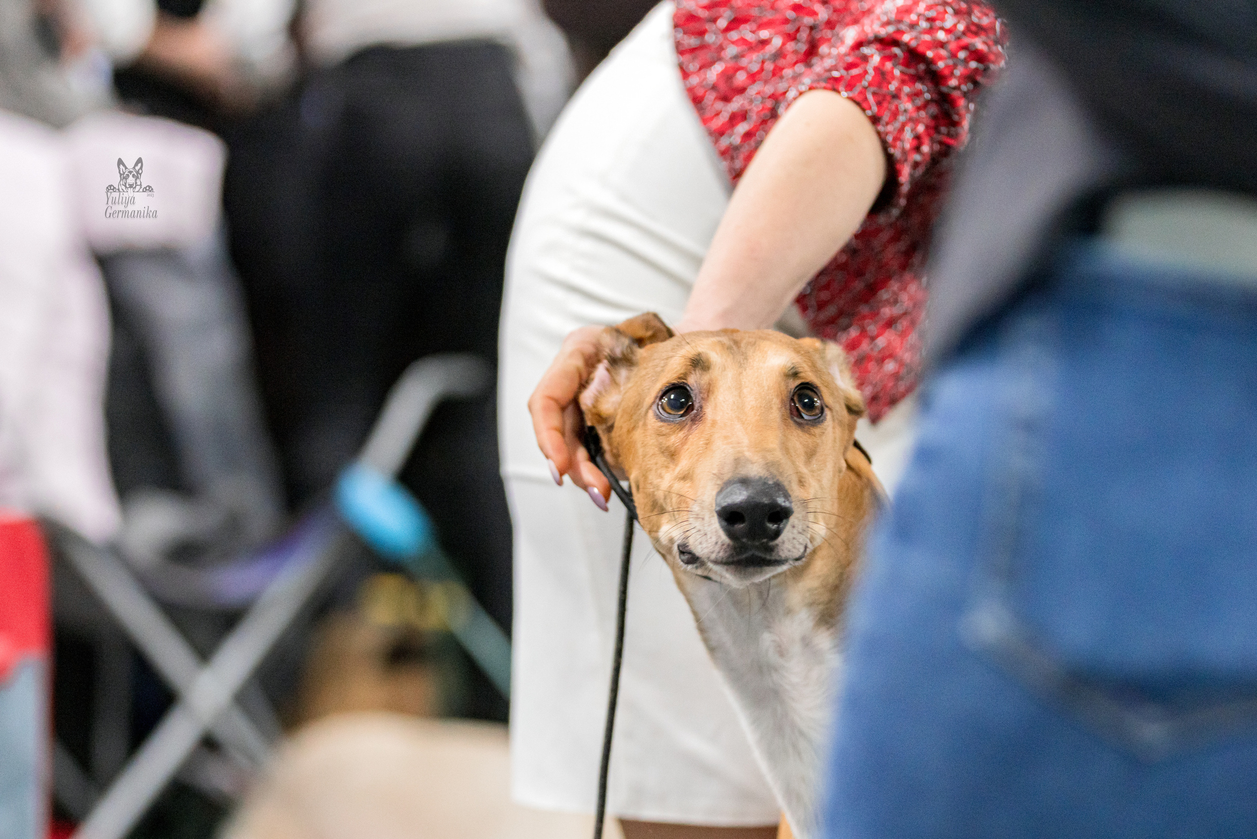 Сфера 5.03.2023. Фотограф-анималист Юлия Германика