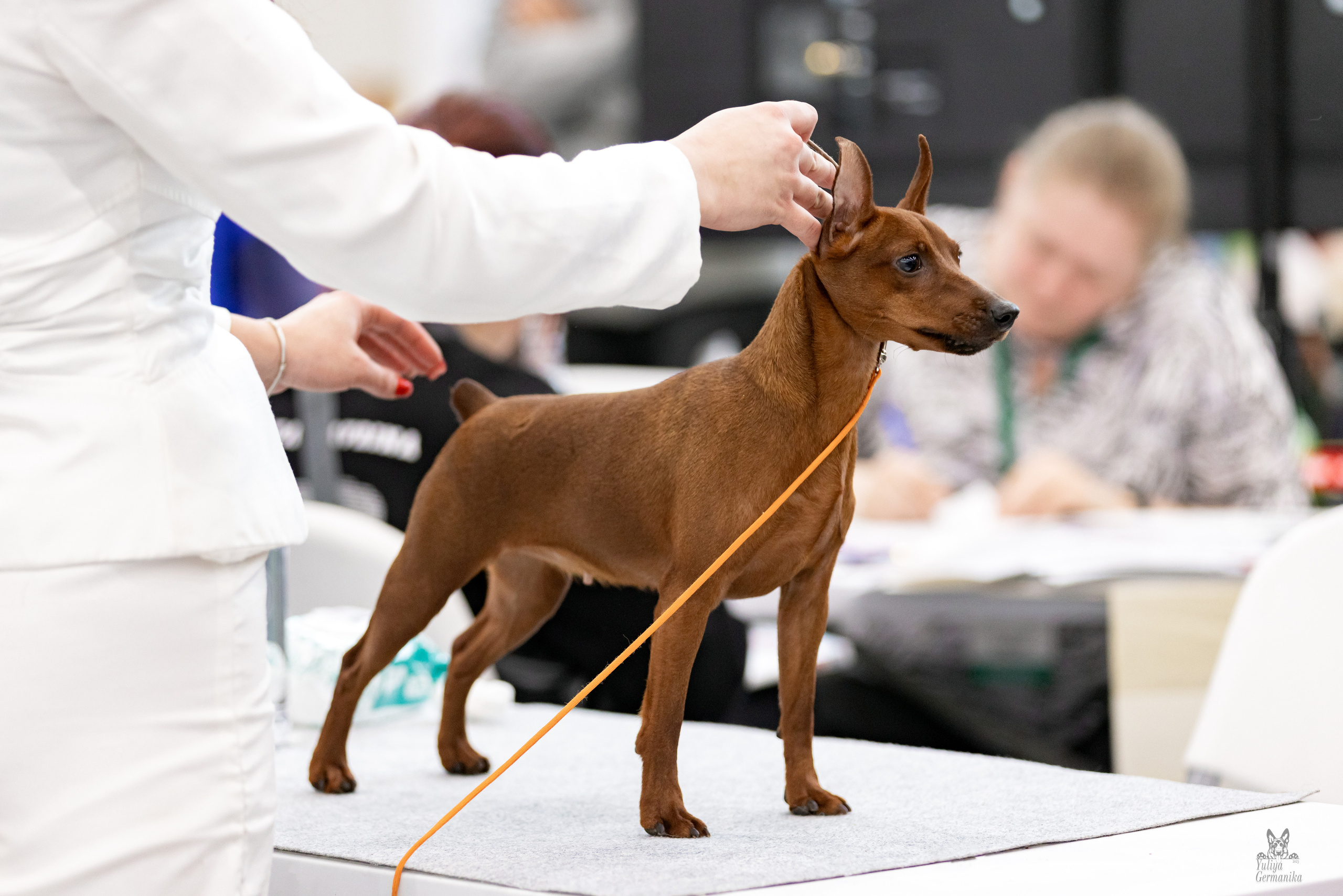 Сабанеевка,Казань 28-29.01.2023. Фотограф-анималист Юлия Германика