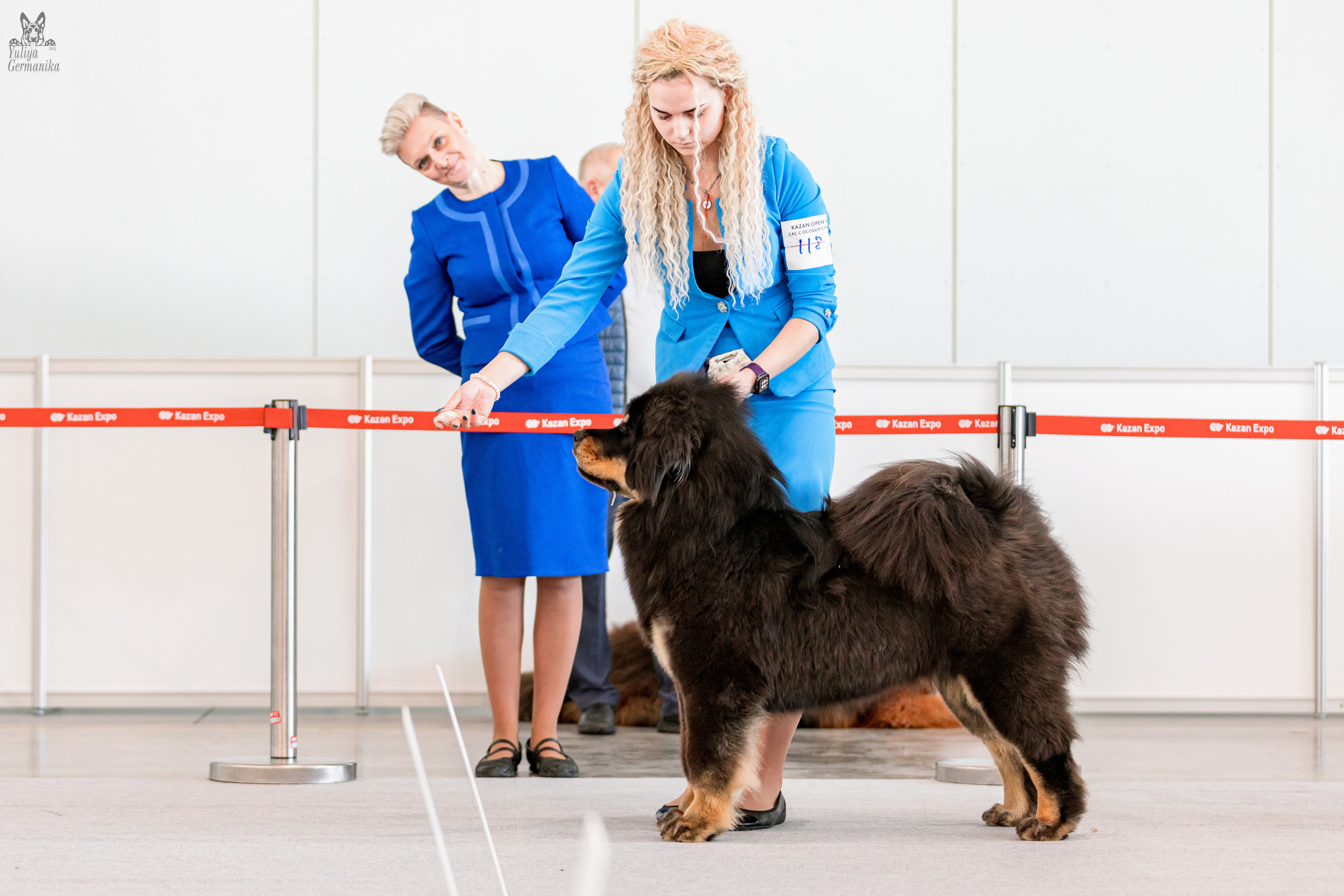 Казань 11.03.2023. Фотограф-анималист Юлия Германика