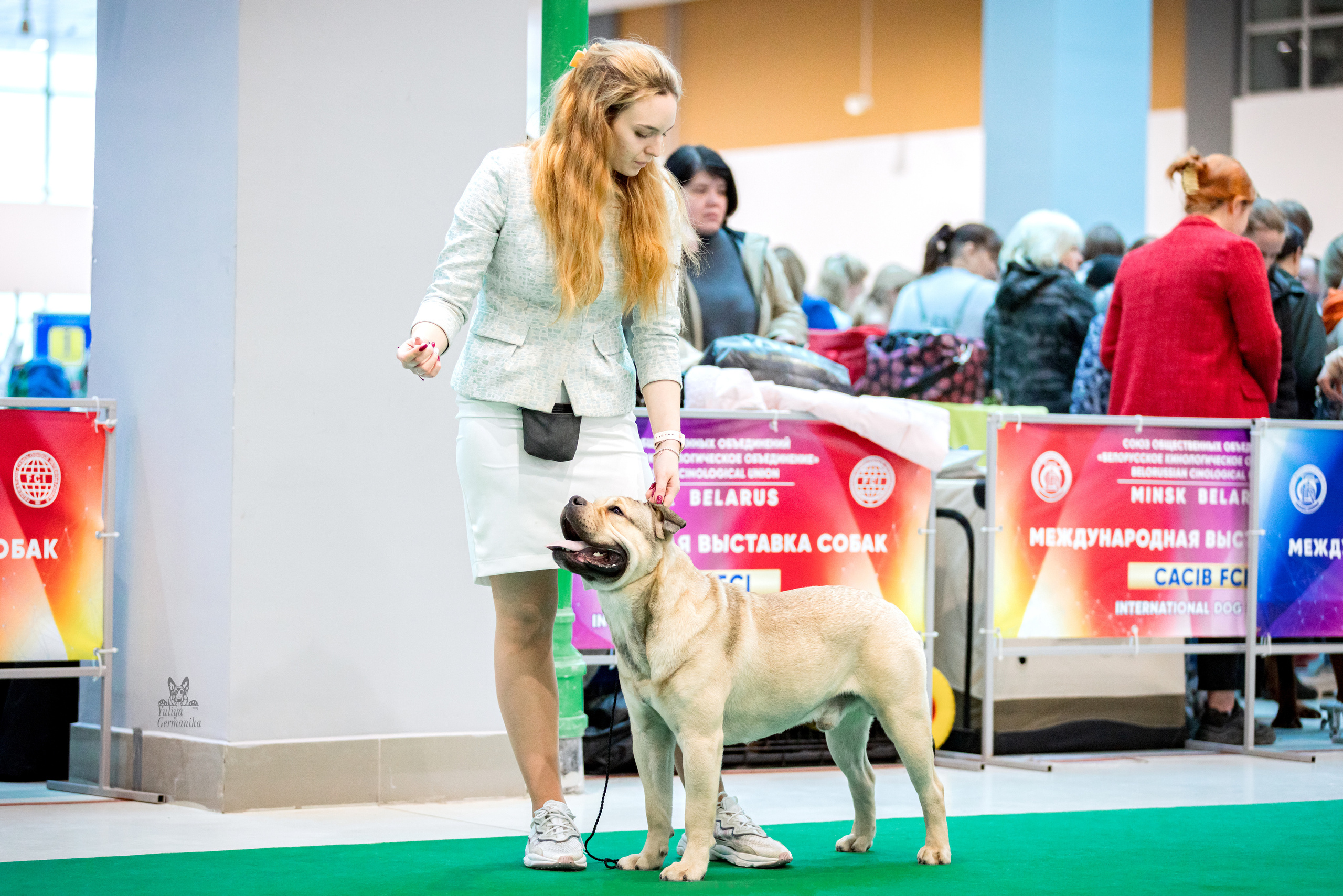 Минск 25-26.02.2023. Фотограф-анималист Юлия Германика