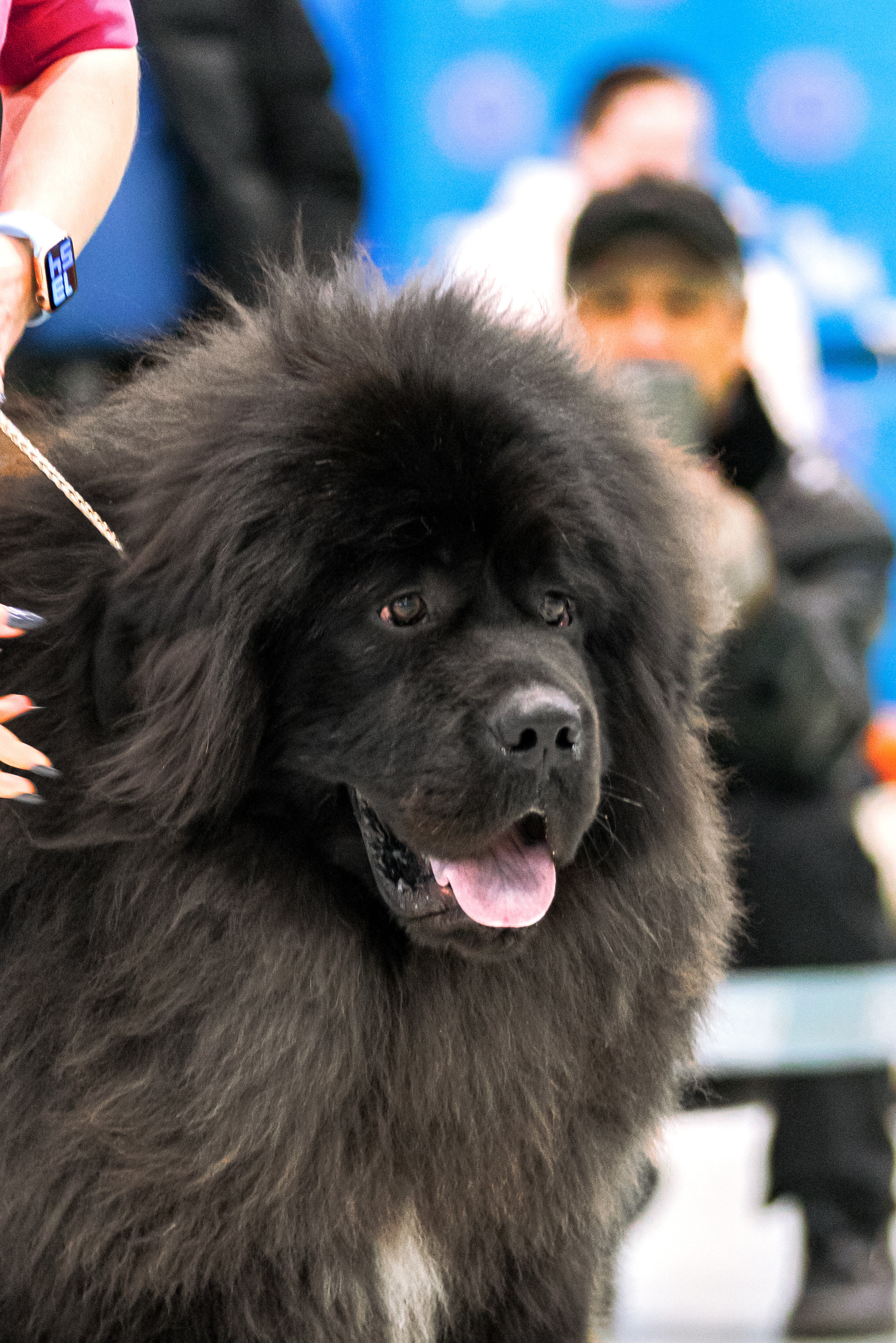 Минск 25-26.02.2023