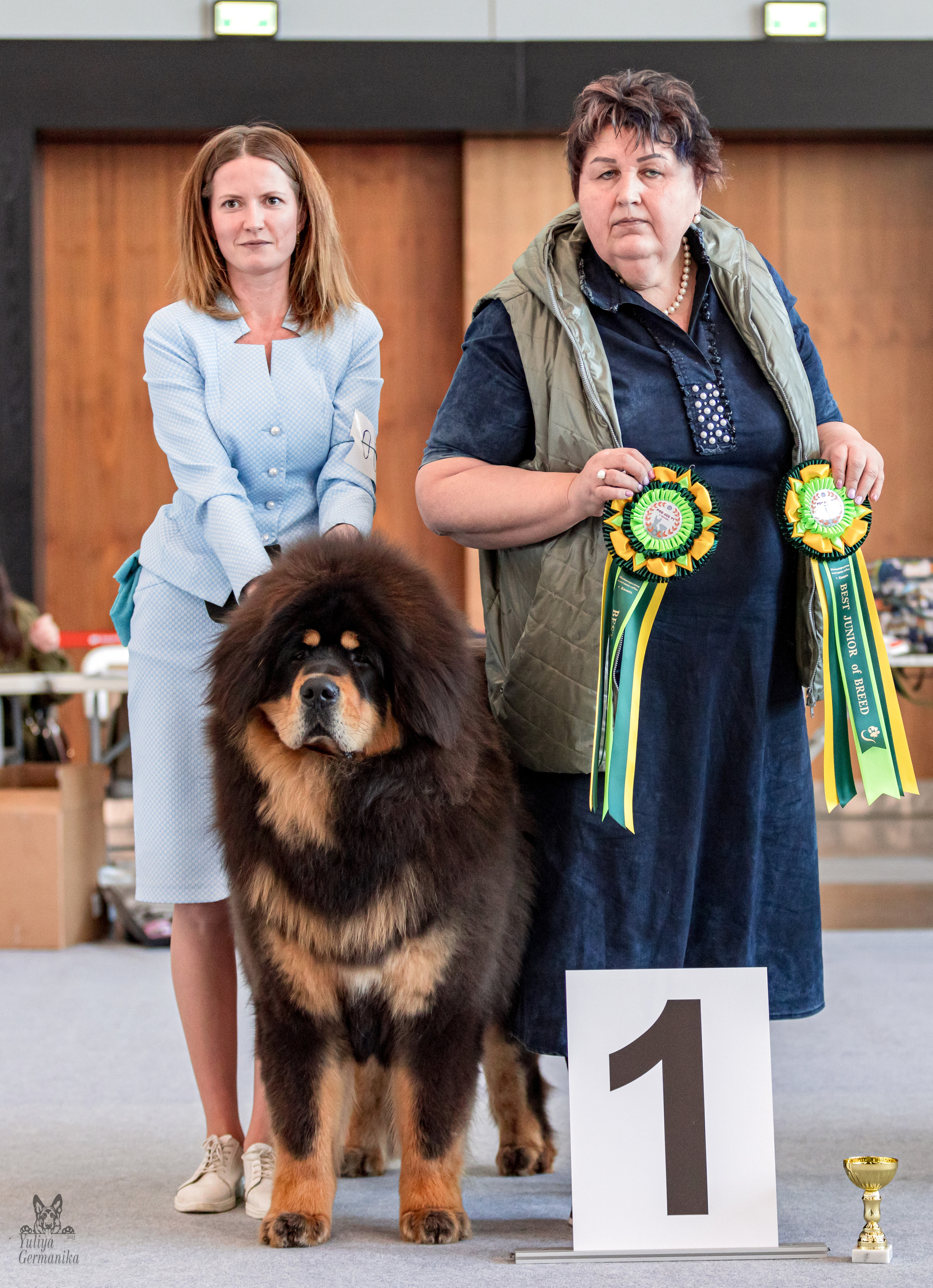 Казань 11.03.2023. Фотограф-анималист Юлия Германика