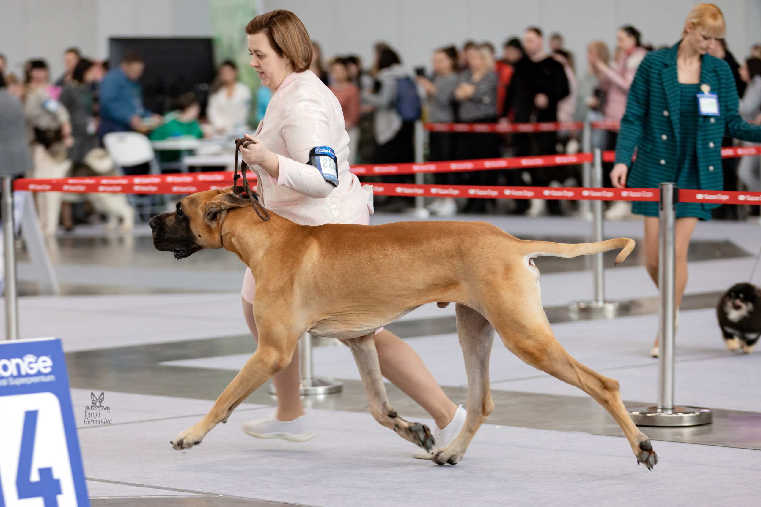 Сабанеевка,Казань 28-29.01.2023. Фотограф-анималист Юлия Германика