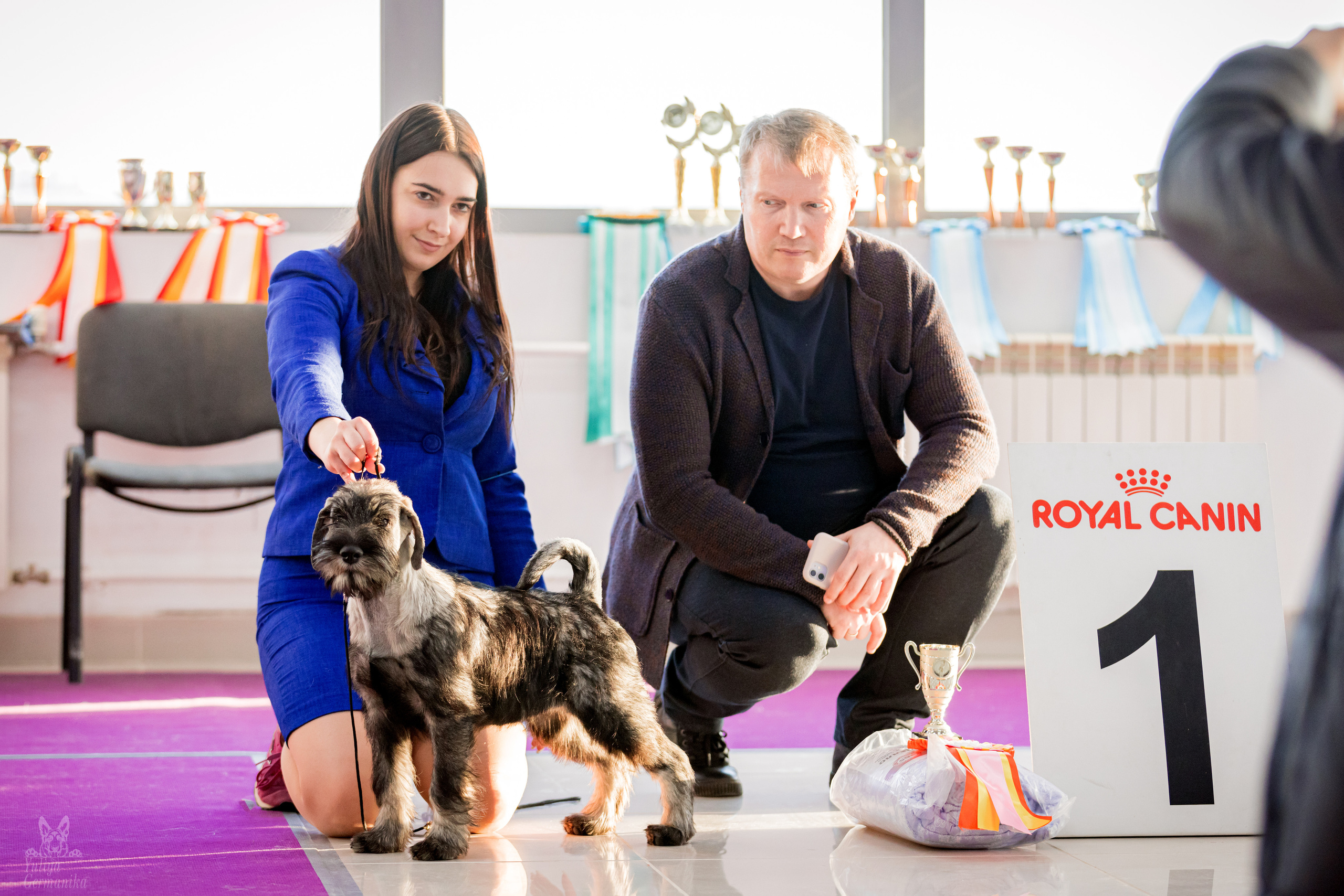 Можайский двор 11-12.02.2023. Фотограф-анималист Юлия Германика