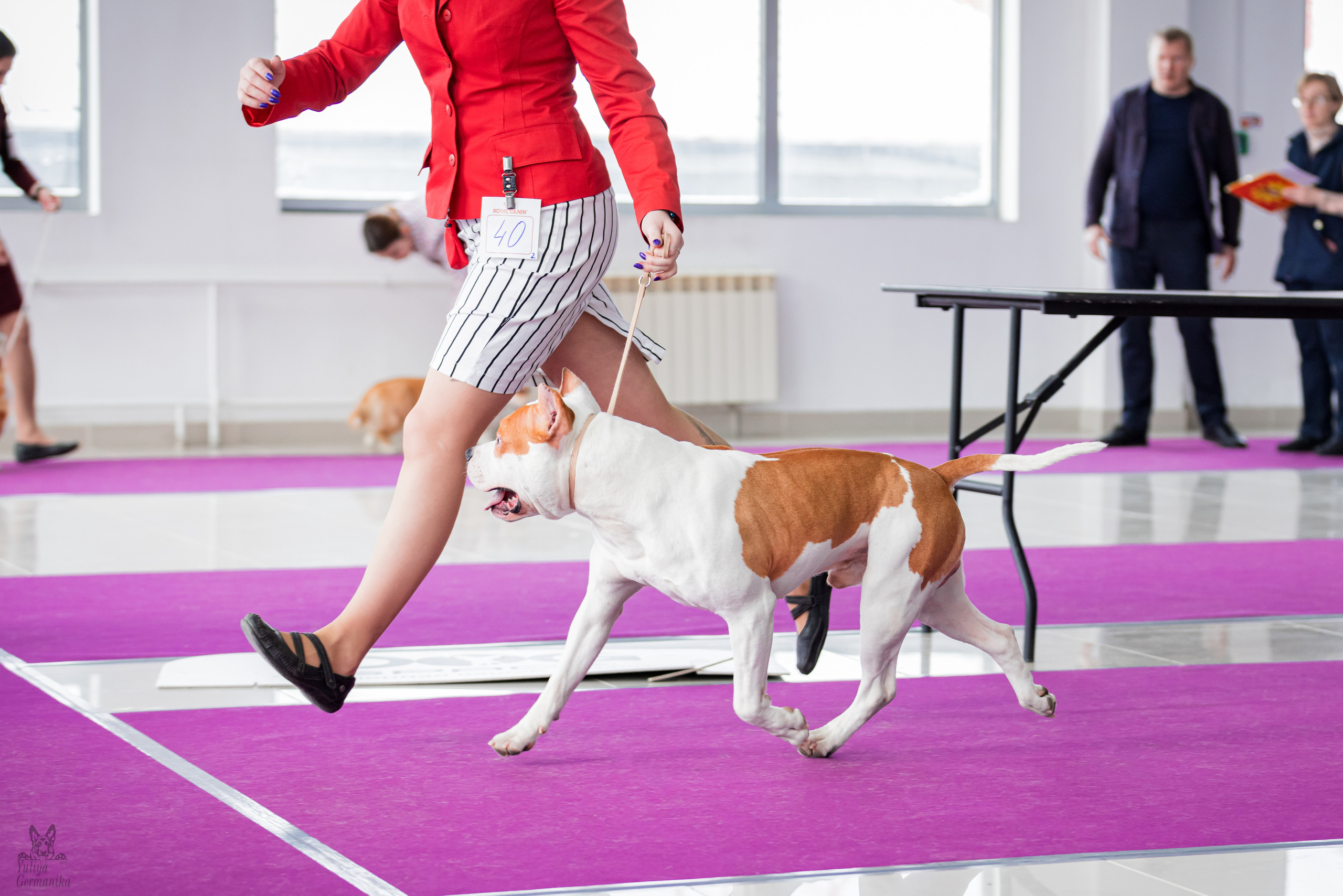 Можайский двор 11-12.02.2023. Фотограф-анималист Юлия Германика