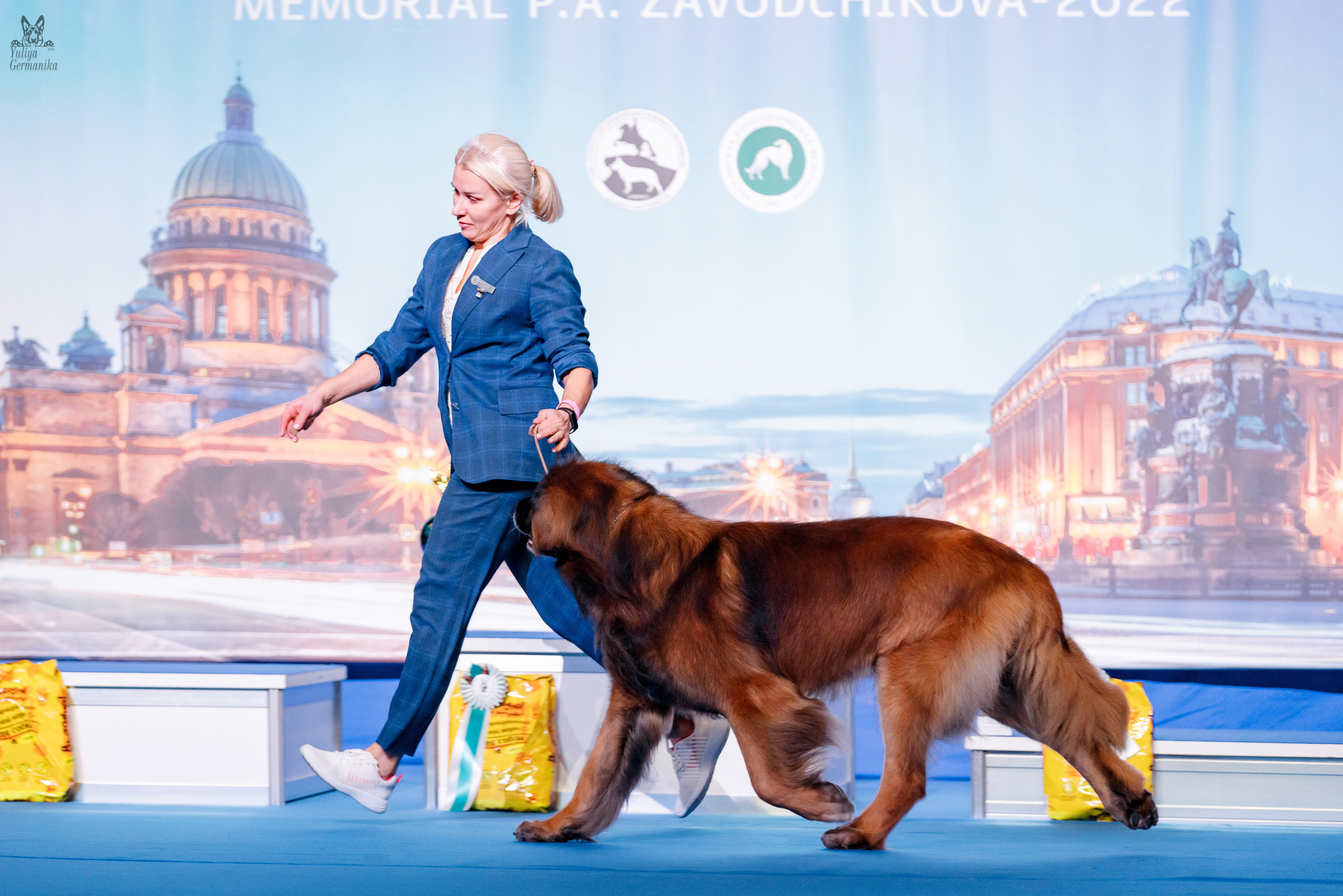 Питер 17-18.12.2022. Фотограф-анималист Юлия Германика