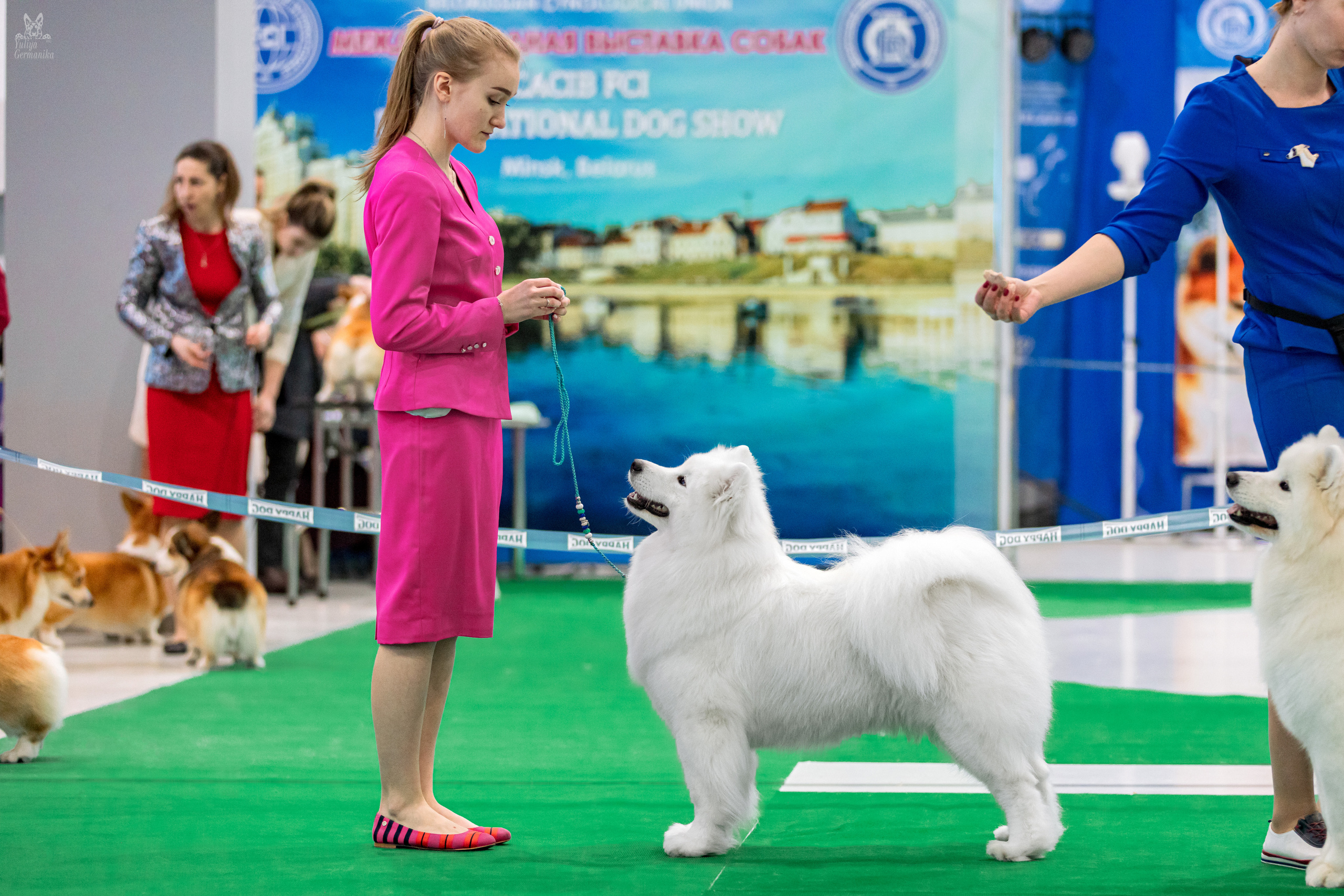 Минск 25-26.02.2023. Фотограф-анималист Юлия Германика