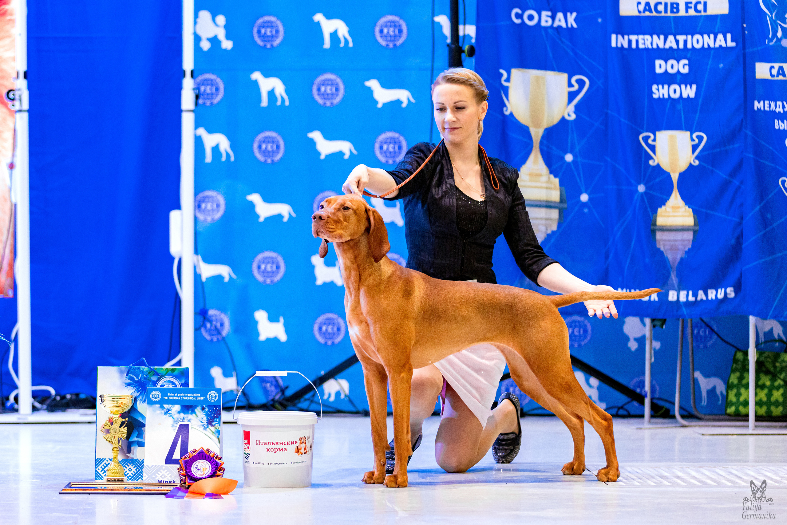 Минск 25-26.02.2023. Фотограф-анималист Юлия Германика