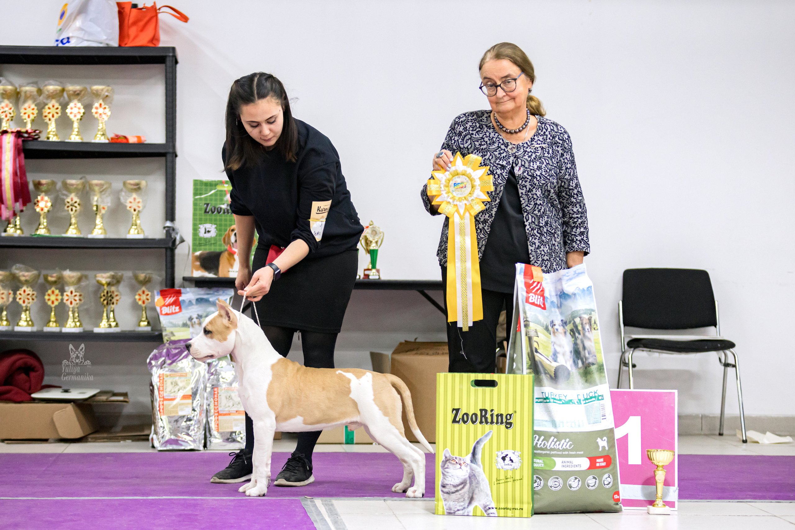 Чайна-Таун 15,21 и 22.01.2023. Фотограф-анималист Юлия Германика