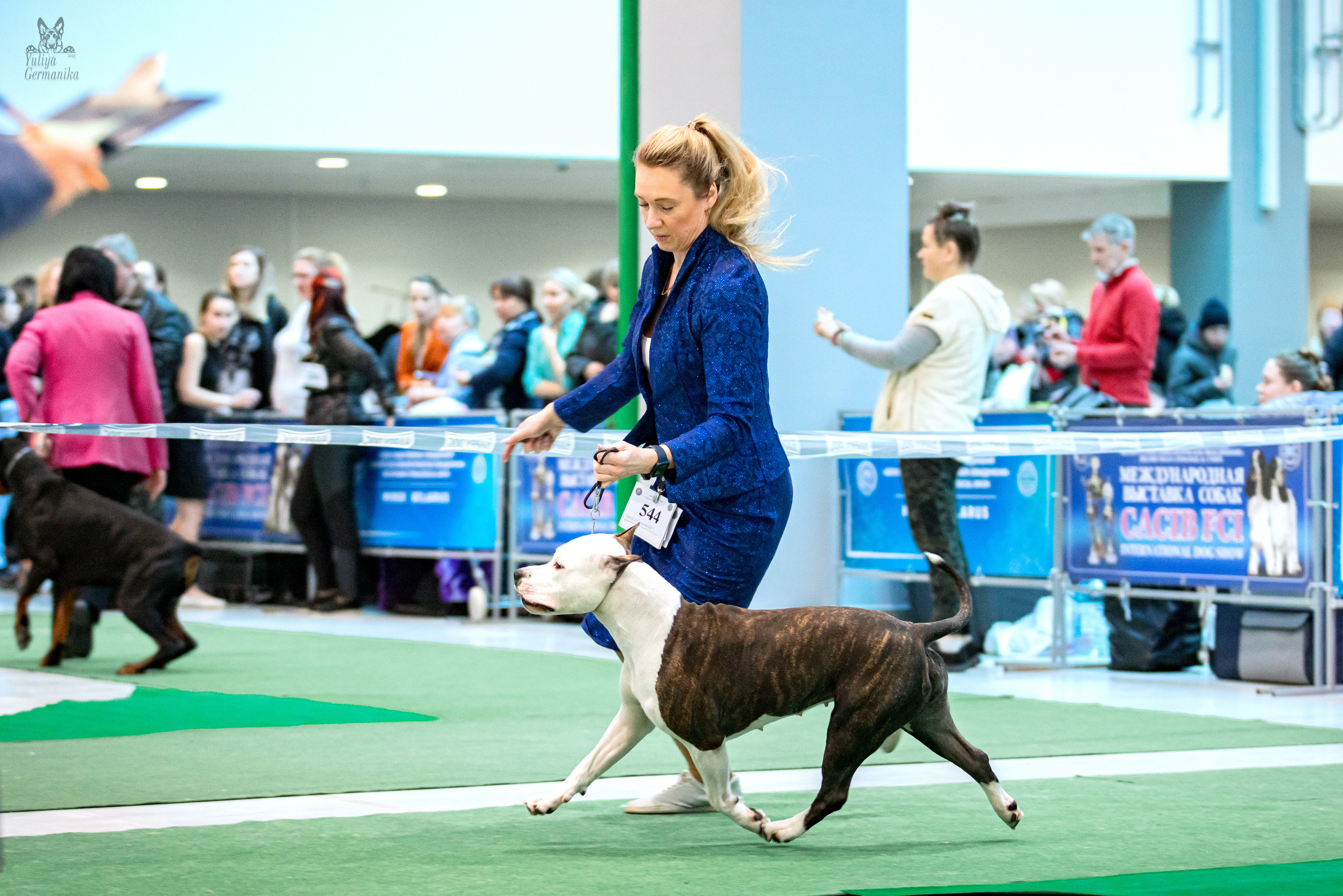 Минск 25-26.02.2023. Фотограф-анималист Юлия Германика