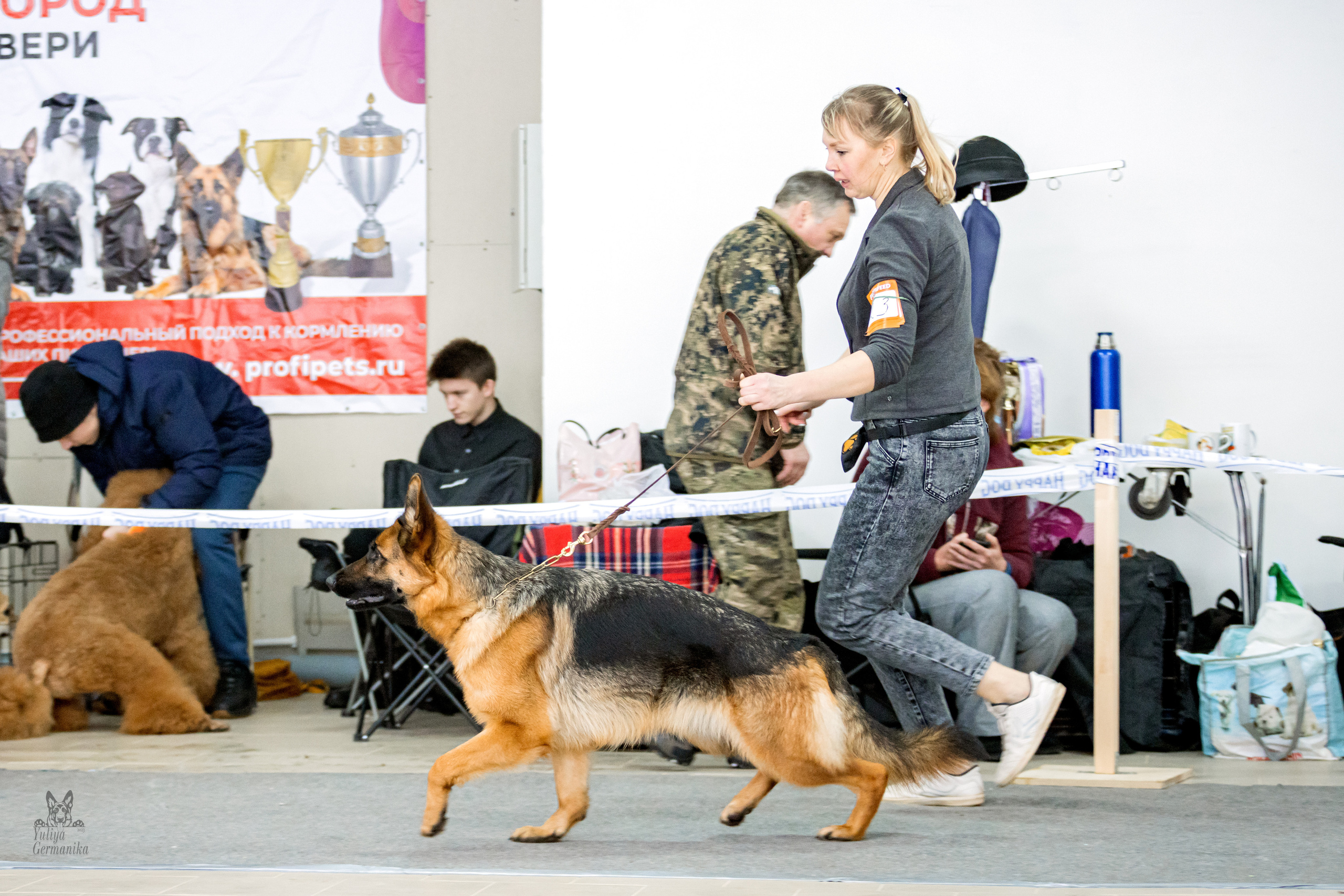 Тверь 19.02.2023. Фотограф-анималист Юлия Германика
