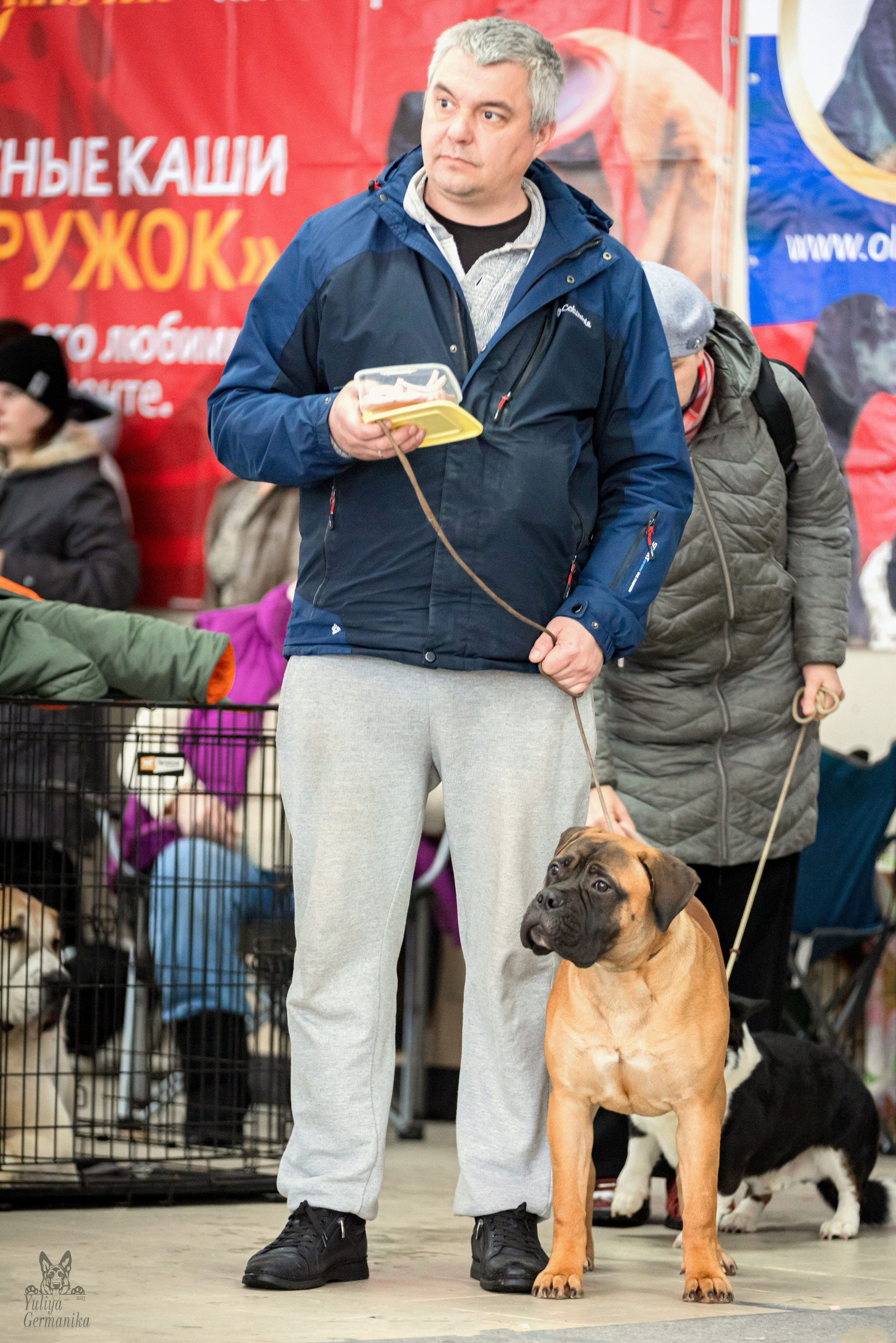 Тверь 19.02.2023. Фотограф-анималист Юлия Германика