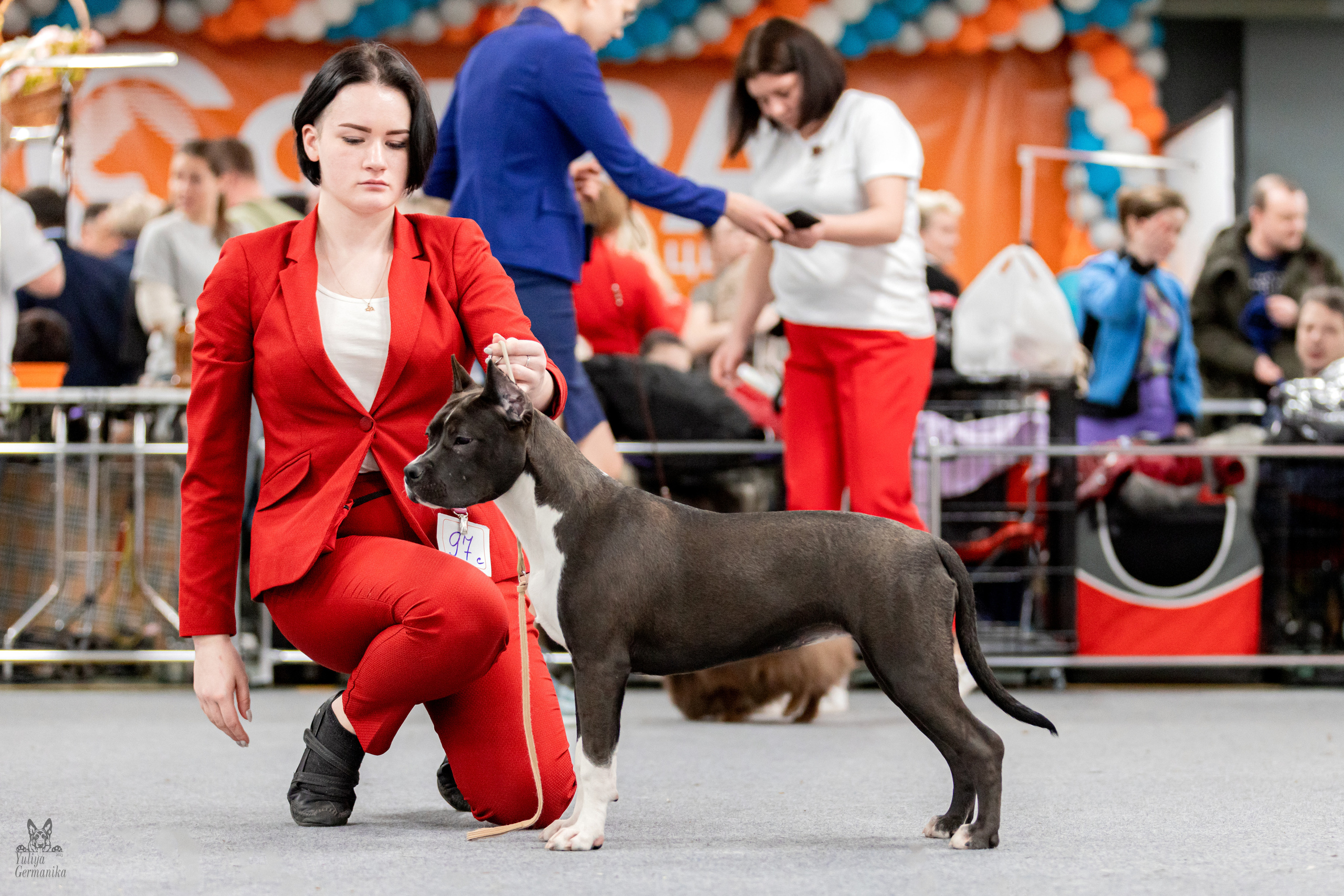 Сфера 5.03.2023. Фотограф-анималист Юлия Германика