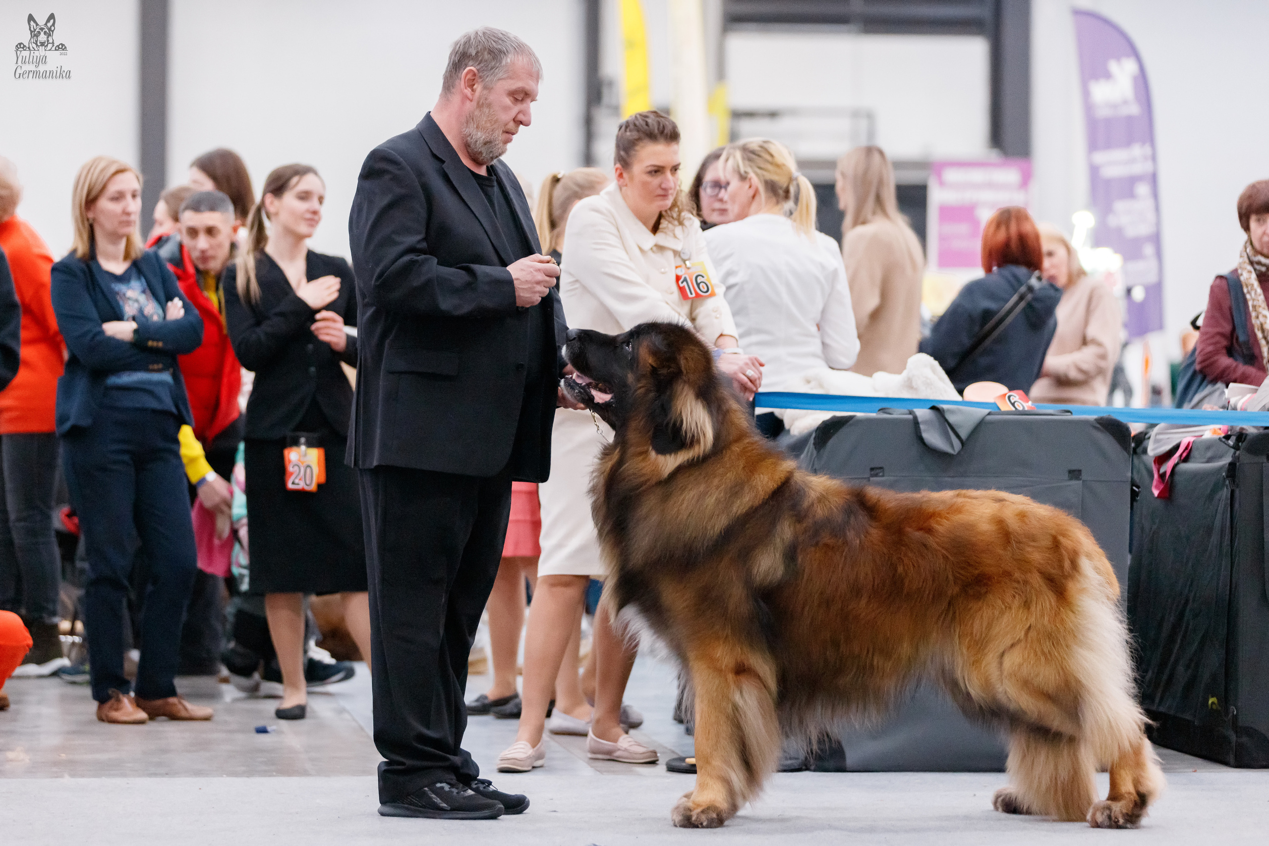 Питер 17-18.12.2022. Фотограф-анималист Юлия Германика