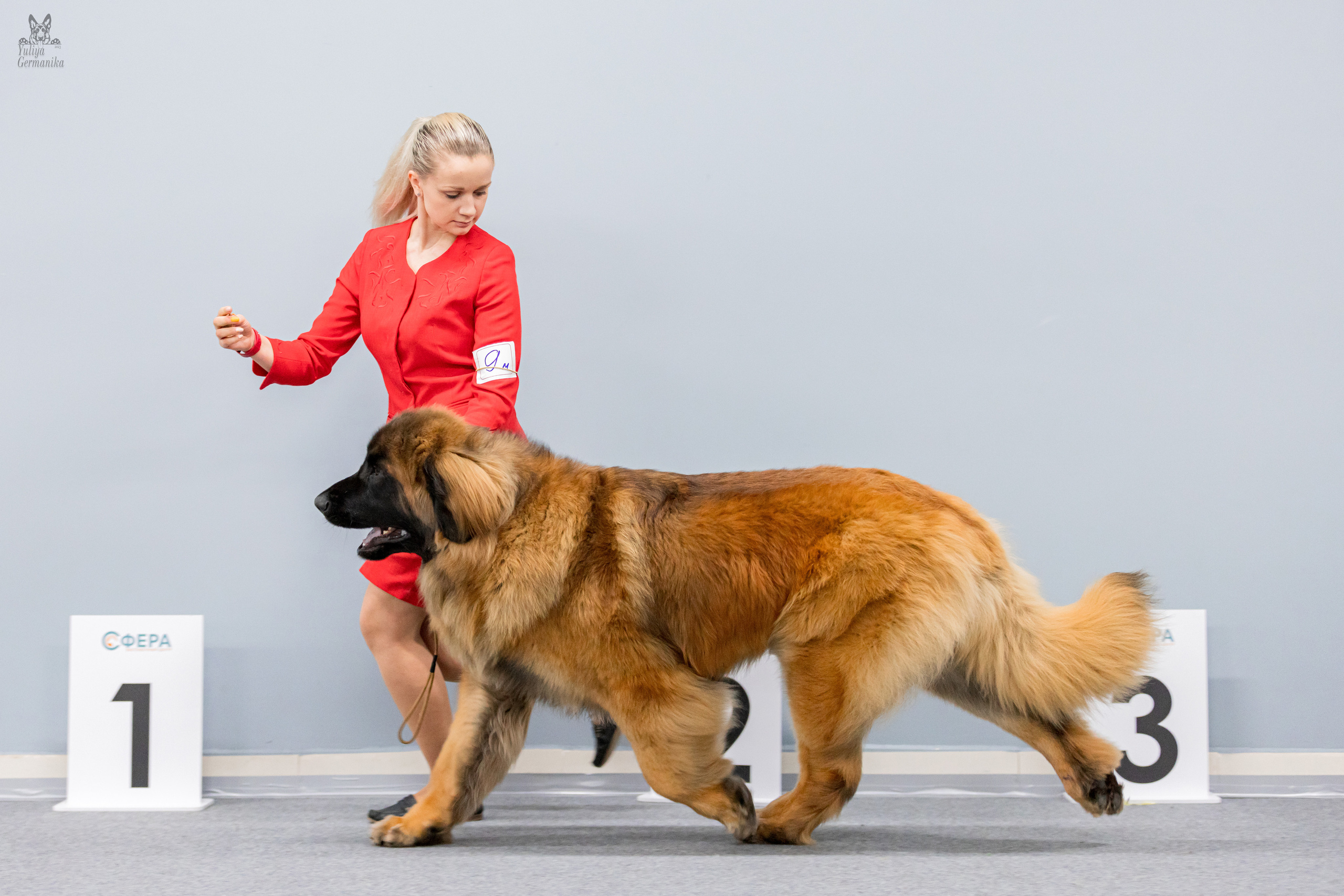 Сфера 5.03.2023. Фотограф-анималист Юлия Германика