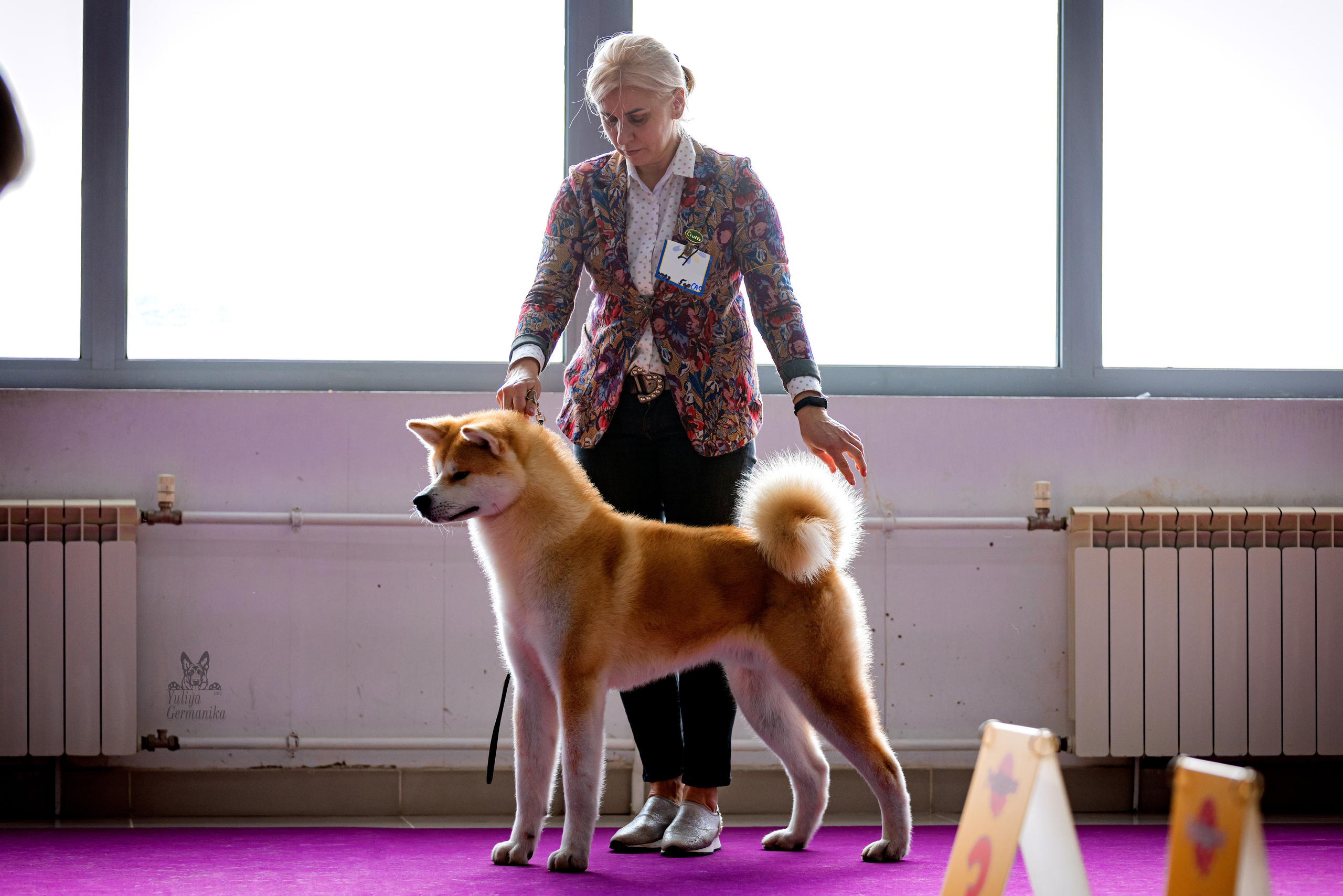 Можайский двор 18.02.2023. Фотограф-анималист Юлия Германика