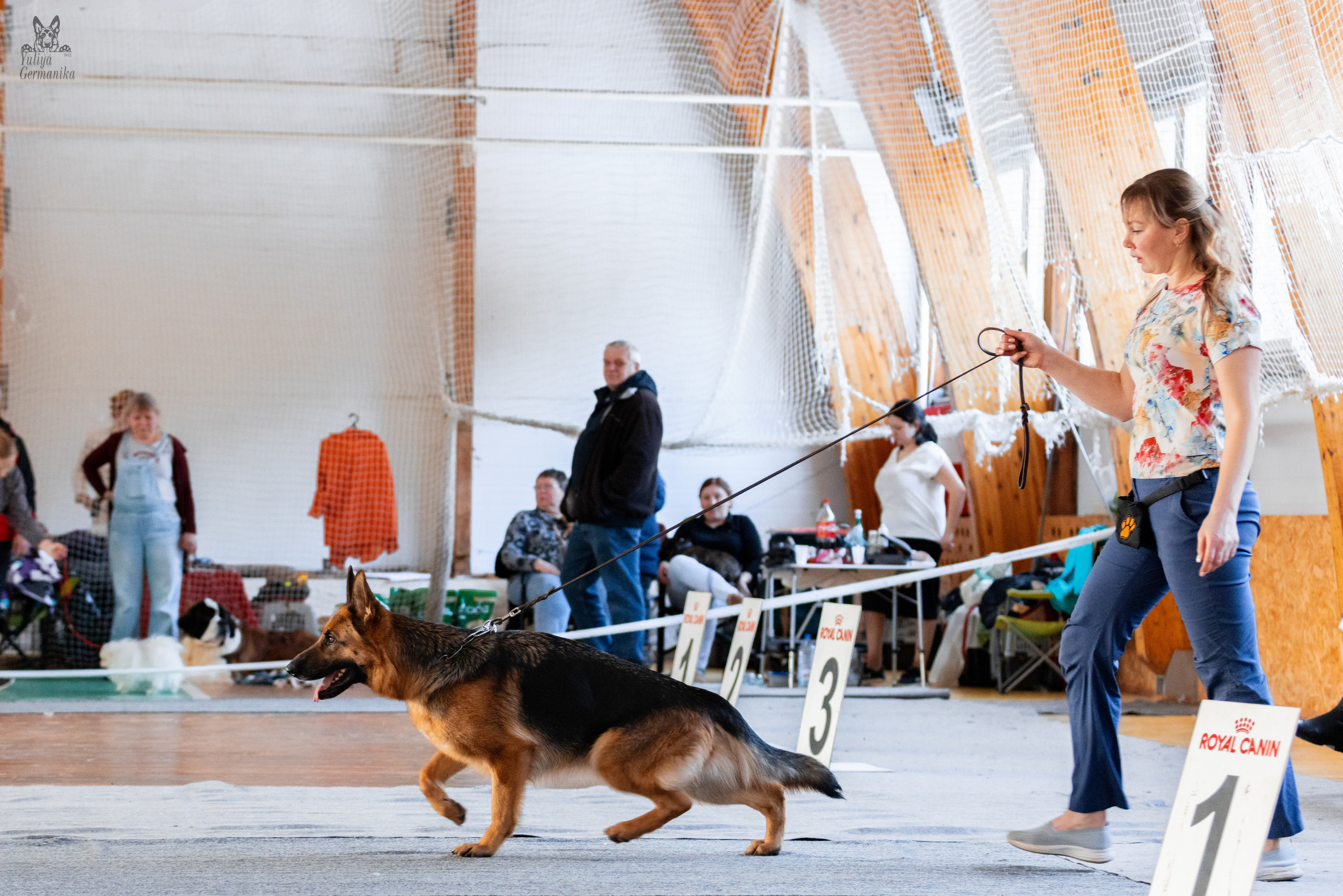 Тверь 19.03.2023. Фотограф-анималист Юлия Германика