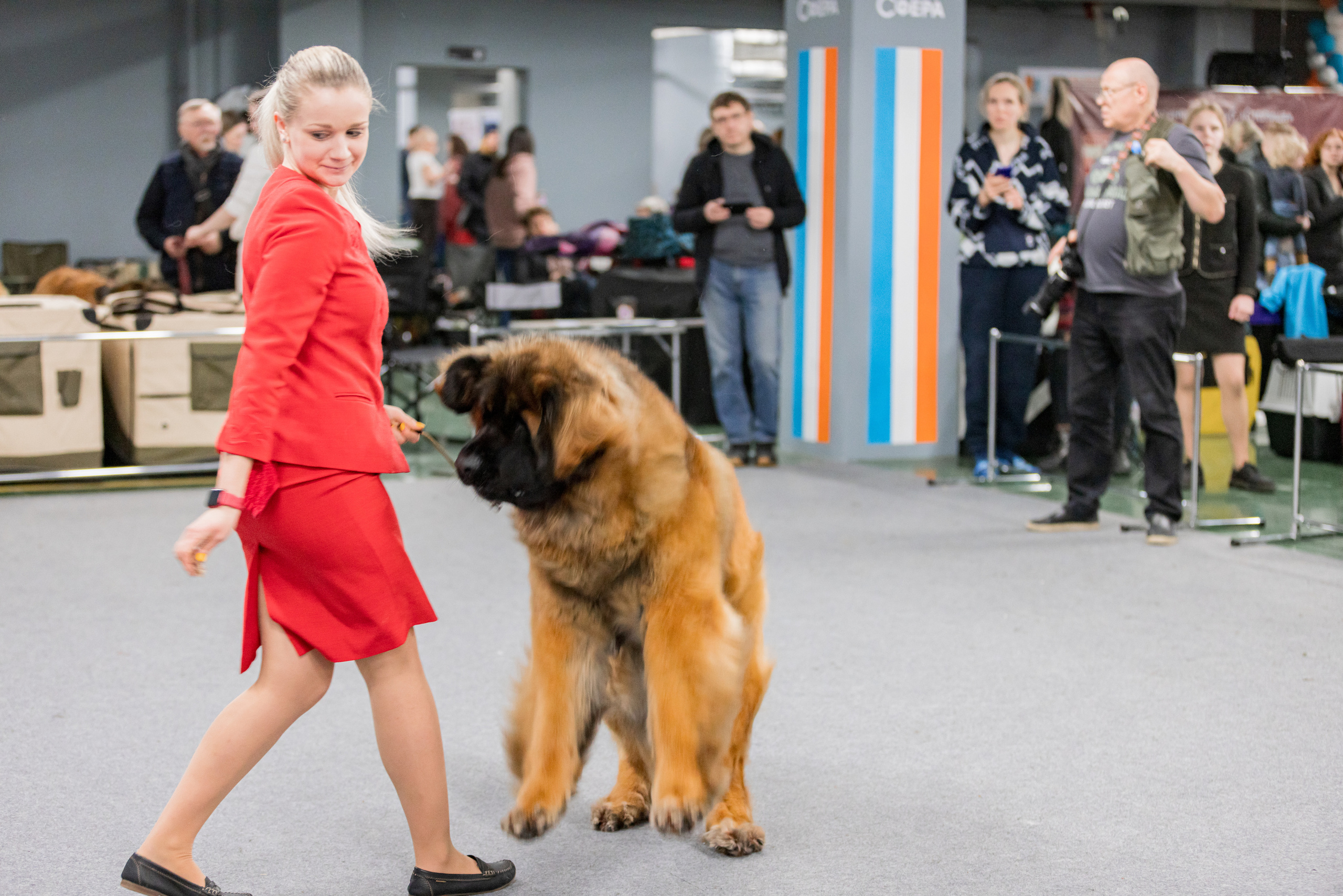 Сфера 5.03.2023. Фотограф-анималист Юлия Германика