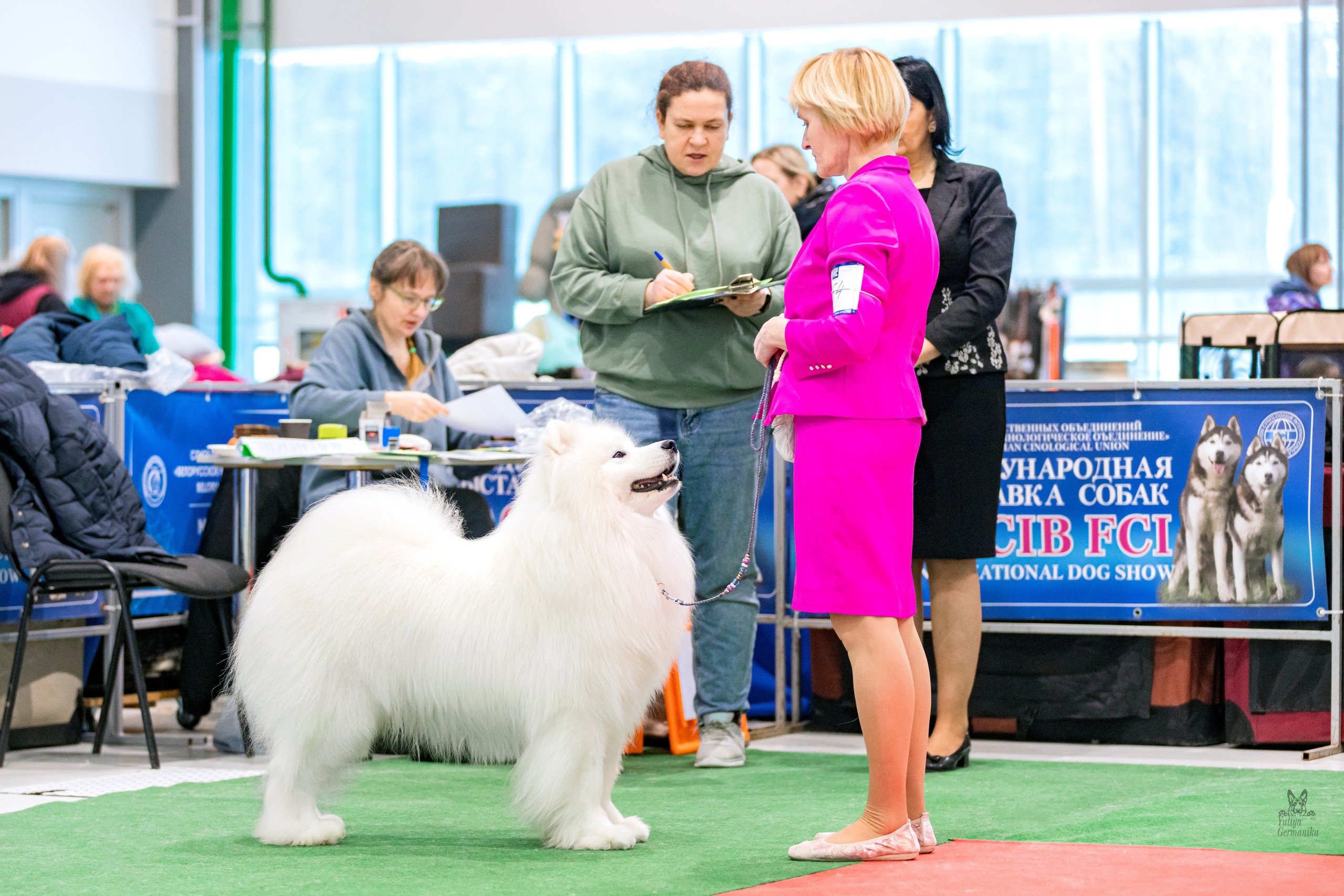 Минск 25-26.02.2023. Фотограф-анималист Юлия Германика