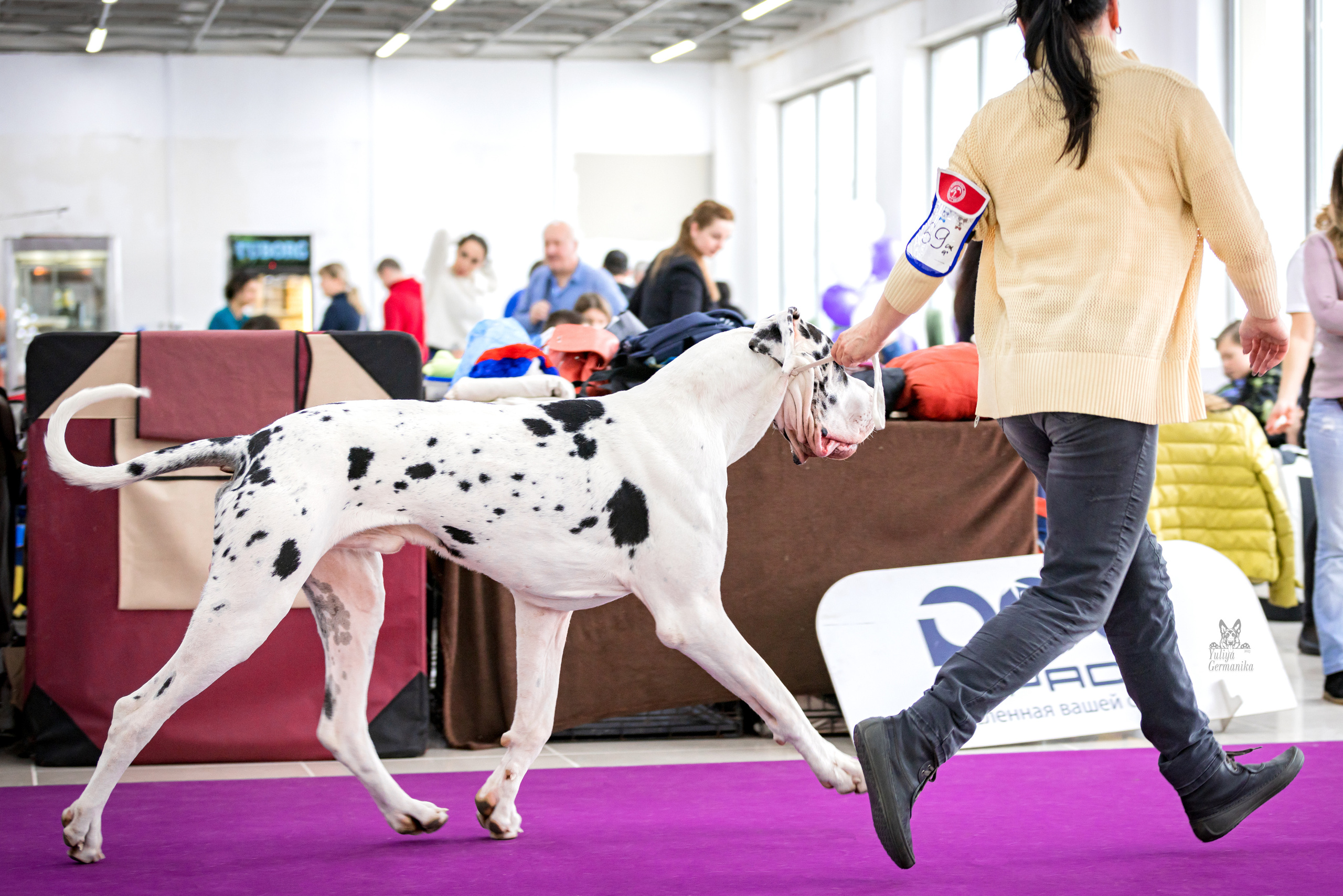 Можайский двор 11-12.02.2023. Фотограф-анималист Юлия Германика