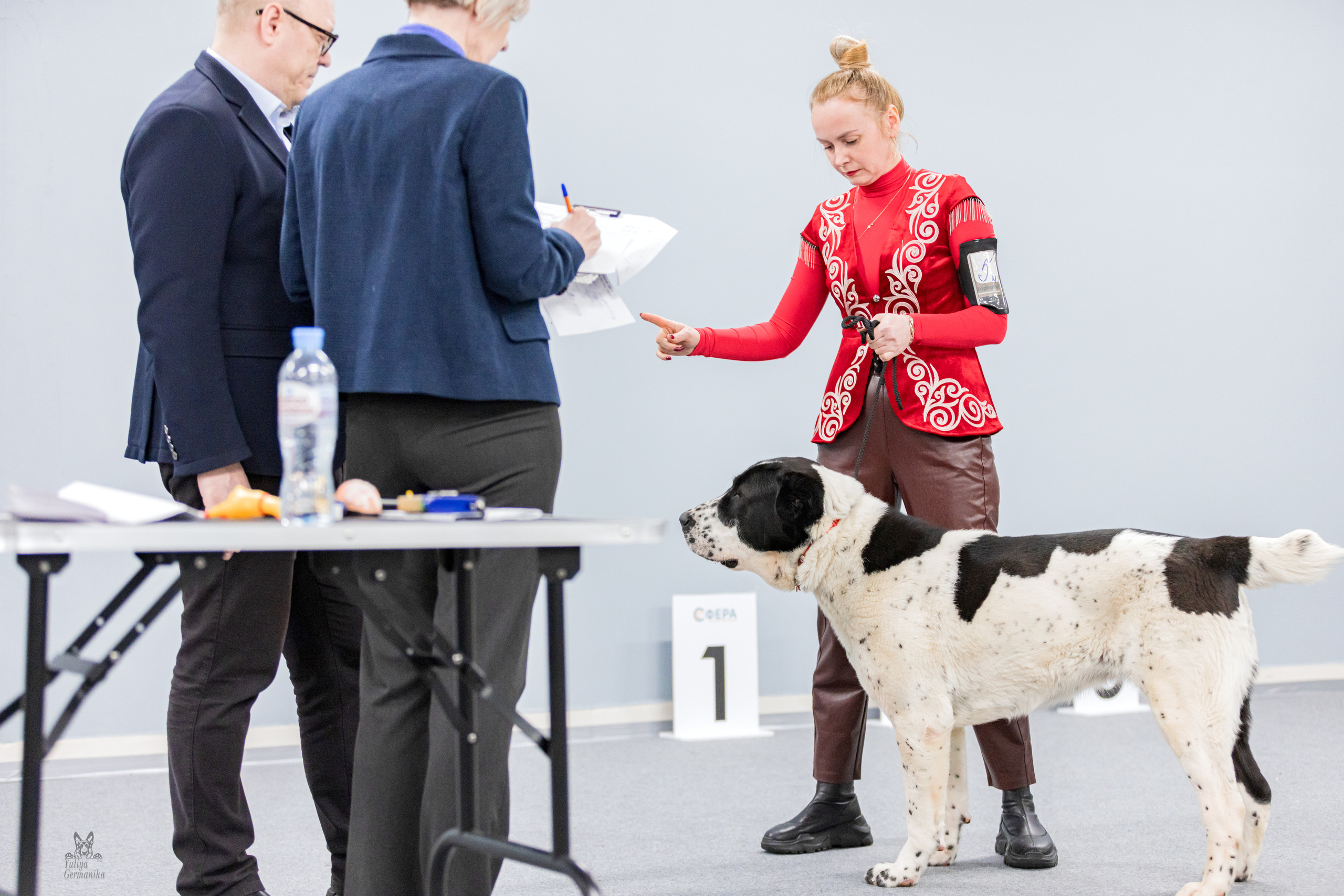 Сфера 5.03.2023. Фотограф-анималист Юлия Германика