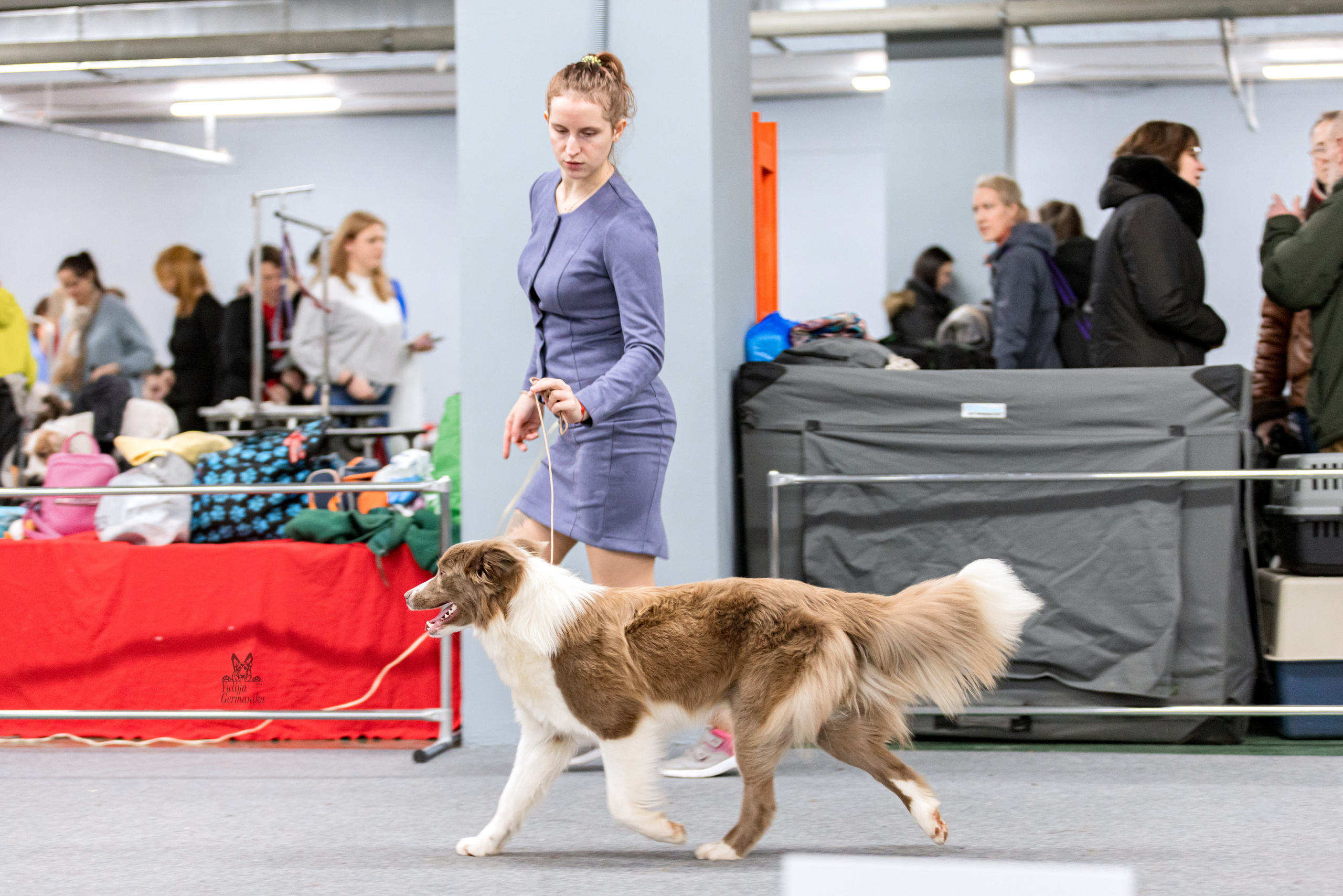 Сфера 5.03.2023. Фотограф-анималист Юлия Германика