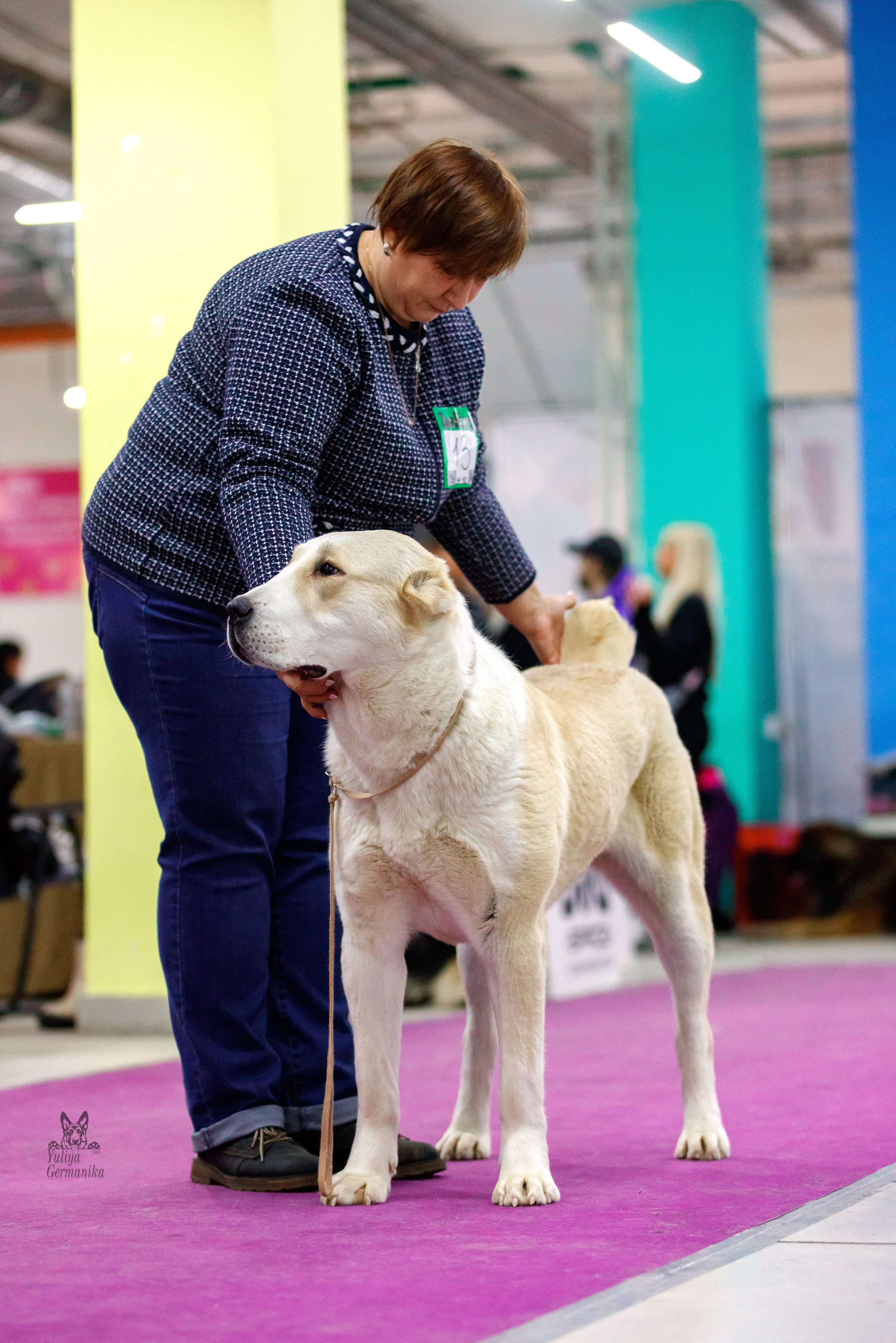 Чайна-Таун 3 и 10.12.2022. Фотограф-анималист Юлия Германика