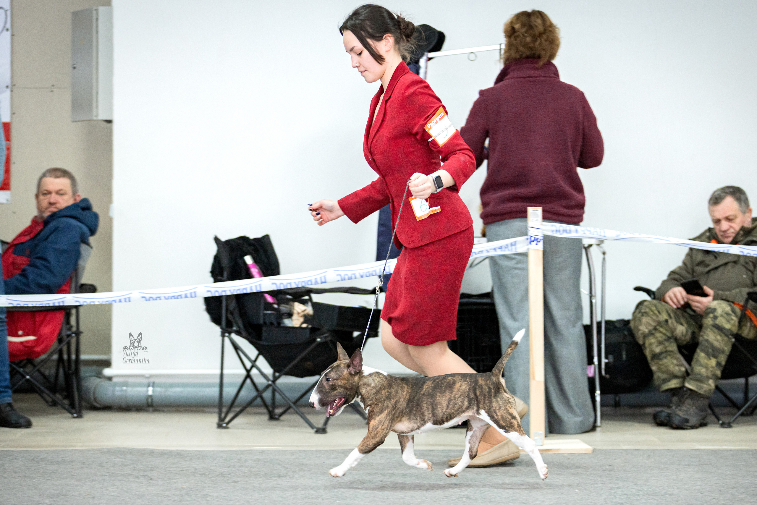 Тверь 19.02.2023. Фотограф-анималист Юлия Германика