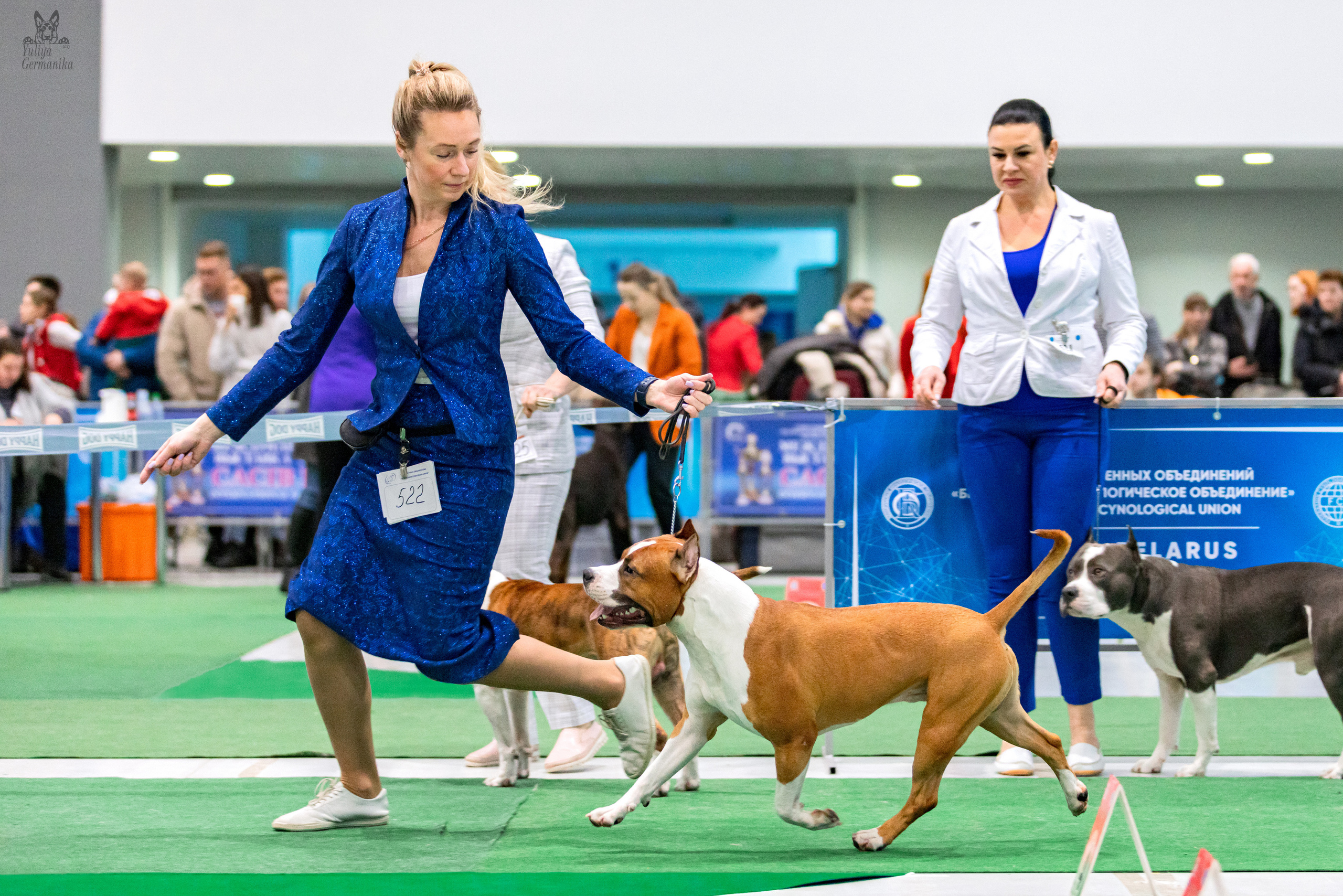 Минск 25-26.02.2023. Фотограф-анималист Юлия Германика