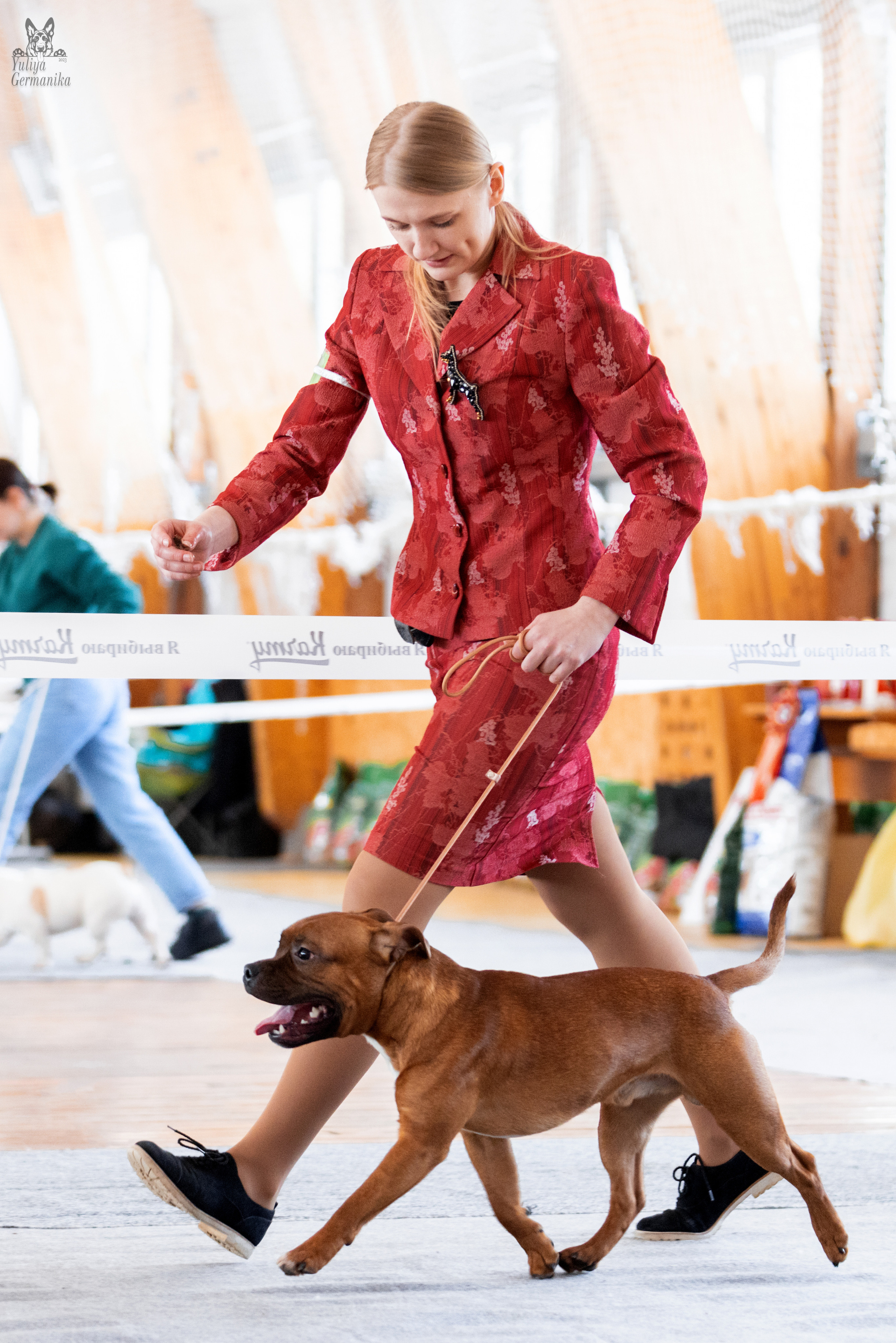 Тверь 19.03.2023. Фотограф-анималист Юлия Германика