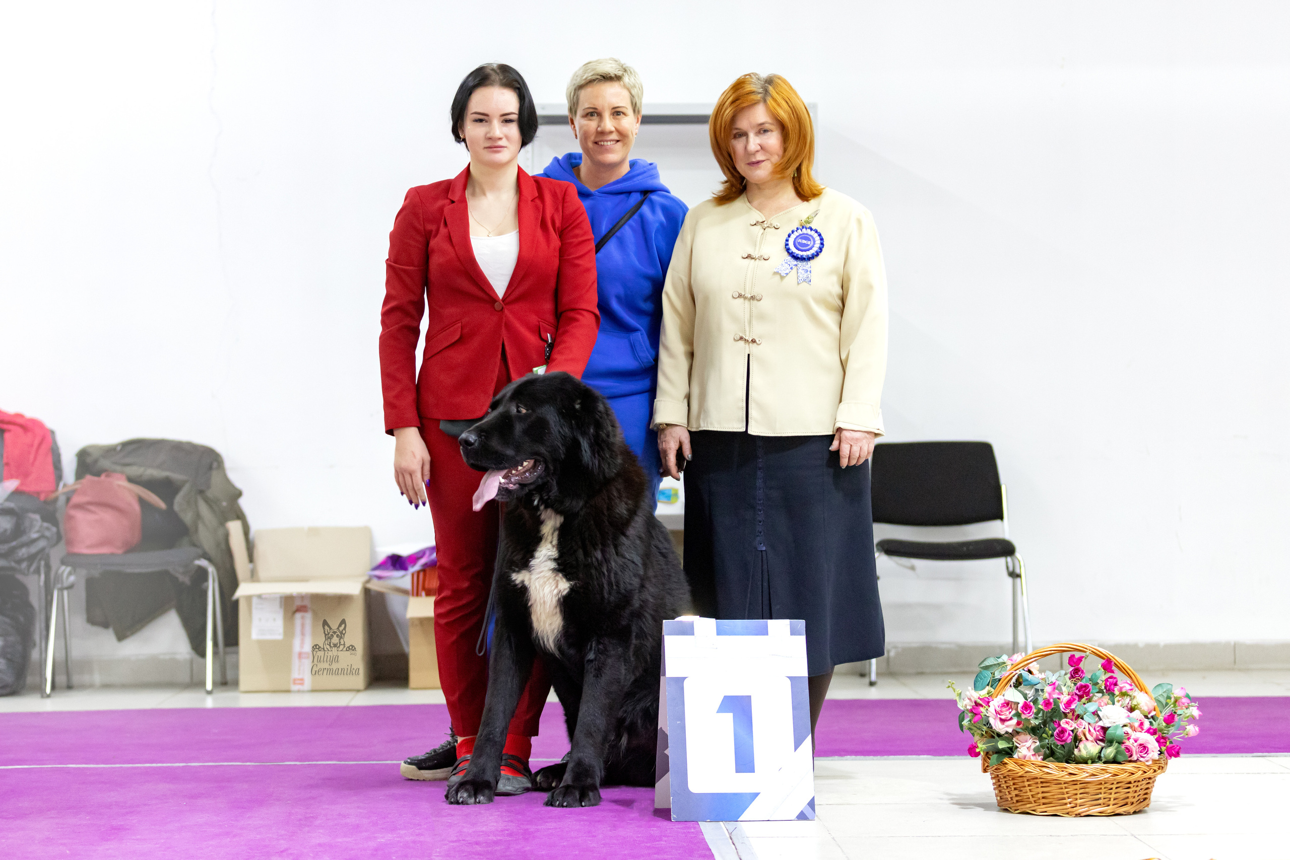 Чайна-Таун 4-5.02.2023. Фотограф-анималист Юлия Германика